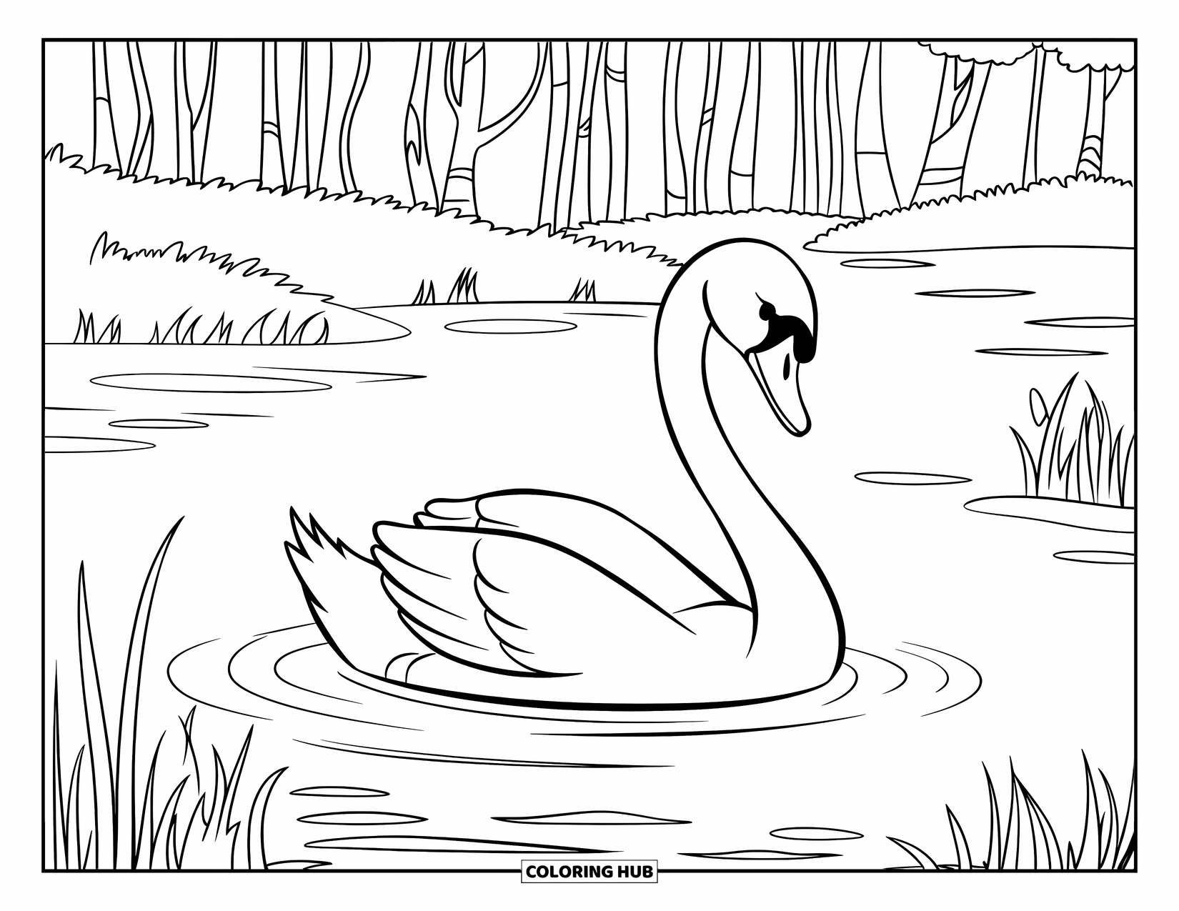Kleurplaat Meer voor Kinderen: Een sereen meer met een zwaan, rimpelingen en hoog gras