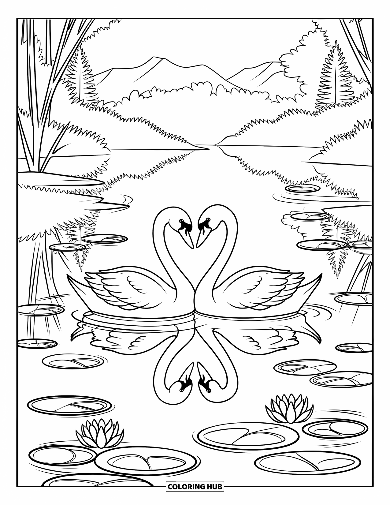 Kleurplaat Meer voor Kinderen: Twee zwanen met lelies op een kalm, reflecterend meer