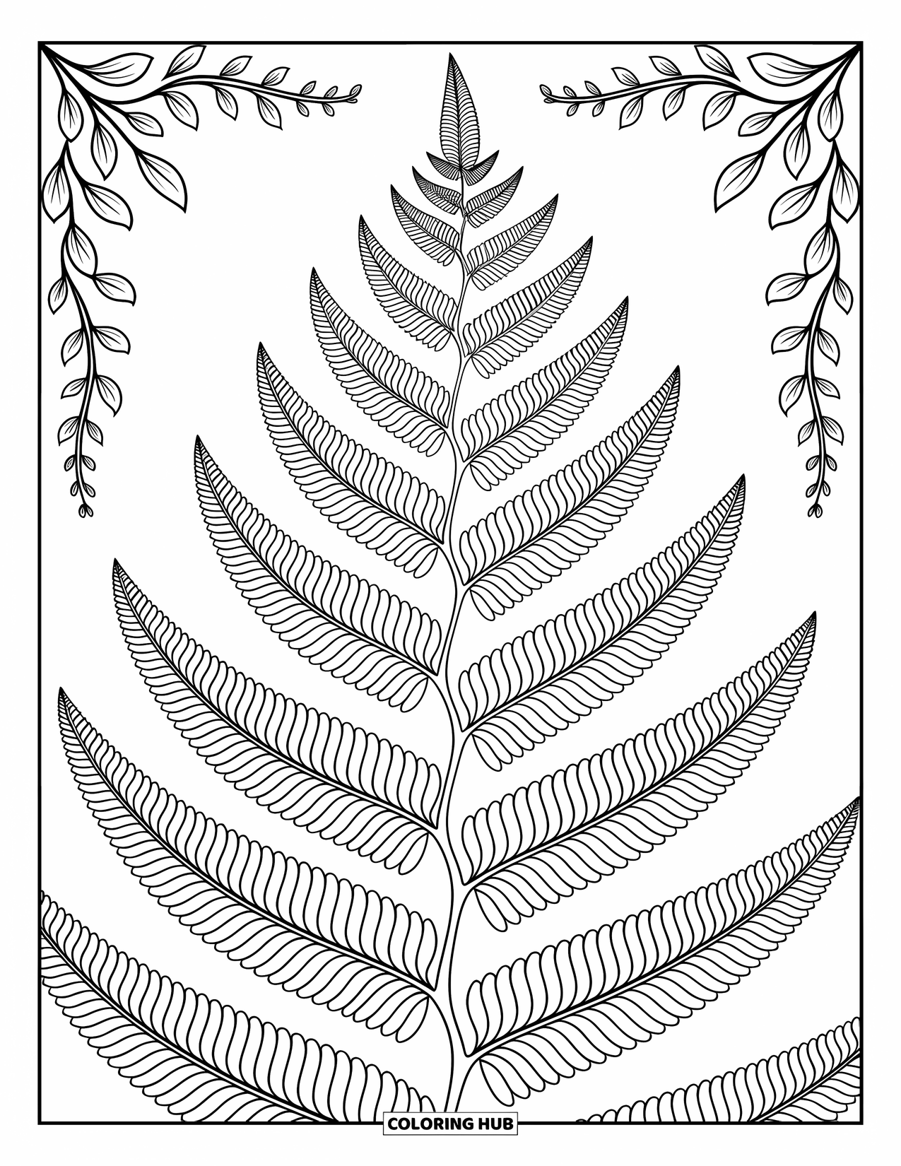 Desen de colorat cu frunze pentru adulți: Un prim-plan al unei frunze de ferigă cu modele ornamentale complicate care împodobesc fiecare foliolă delicată