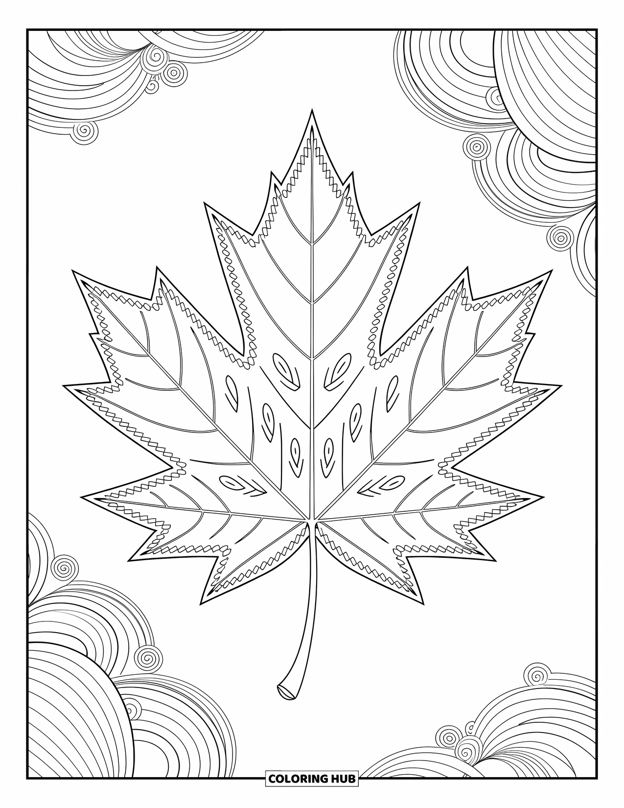Desen de colorat cu frunze pentru adulți: O frunză de arțar detaliată, cu modele interioare delicate, înconjurată de accente decorative spiralate