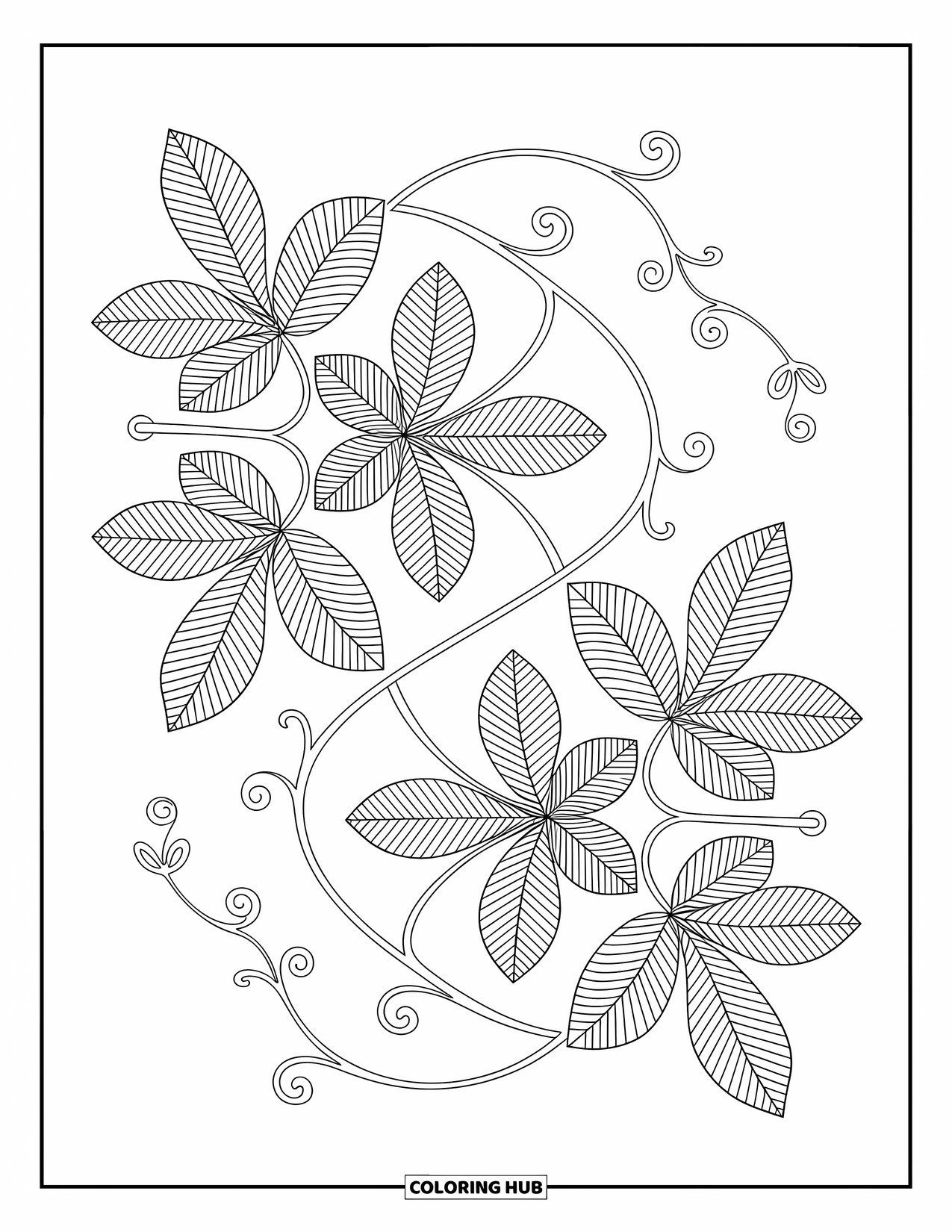 Desen de colorat cu frunze pentru adulți: Un zentangle cu frunze de ficus și linii spiralate formează un design sofisticat și meditativ