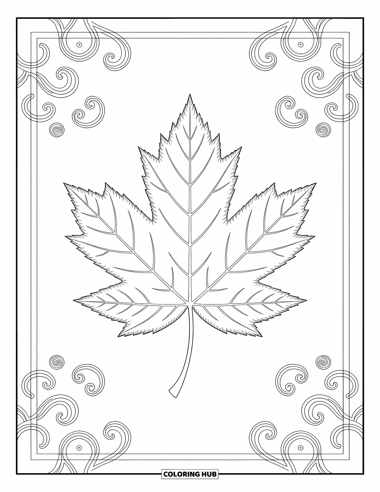 Desen de colorat cu frunze pentru adulți: Un design complex cu frunze de arțar, cu modele artistice și detalii elegante spiralate