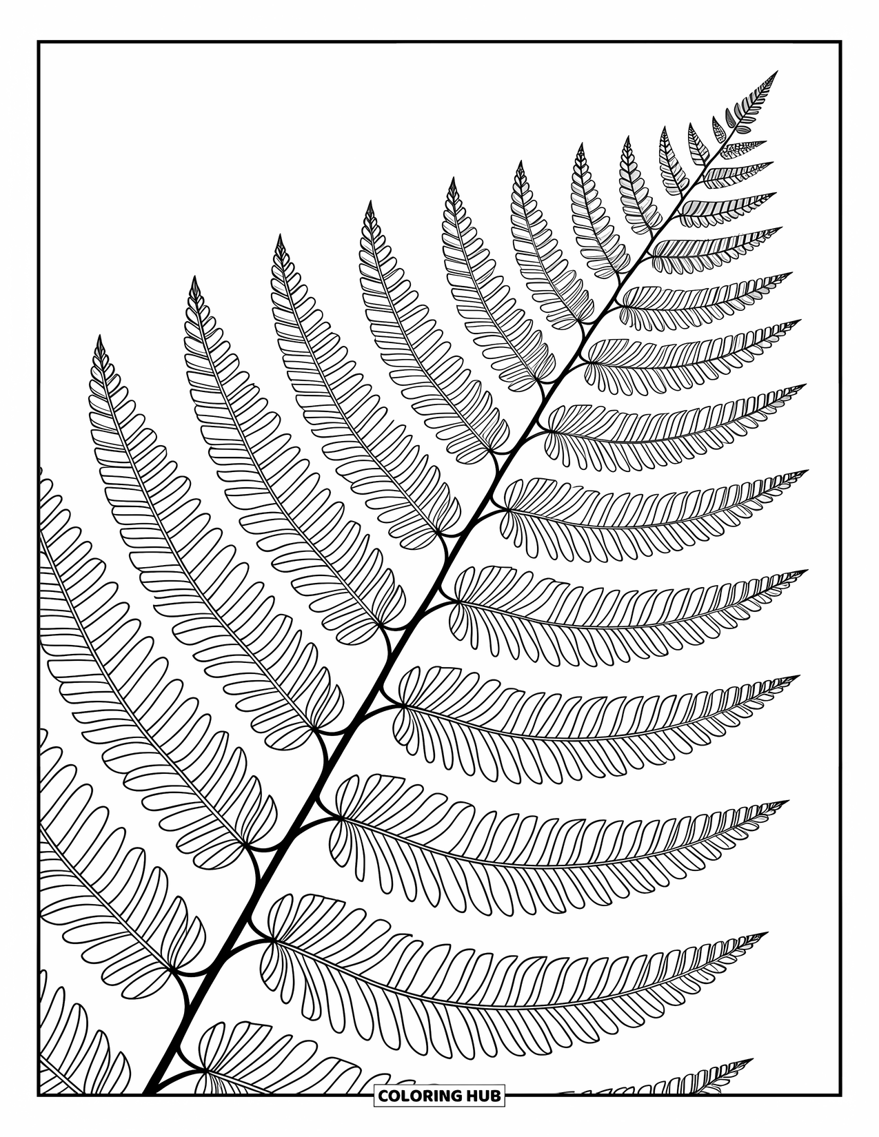 Desen de colorat cu frunze pentru adulți: Frunzele plutitoare se amestecă cu vițe de vie spiralate și motive abstracte, formând o compoziție sofisticată