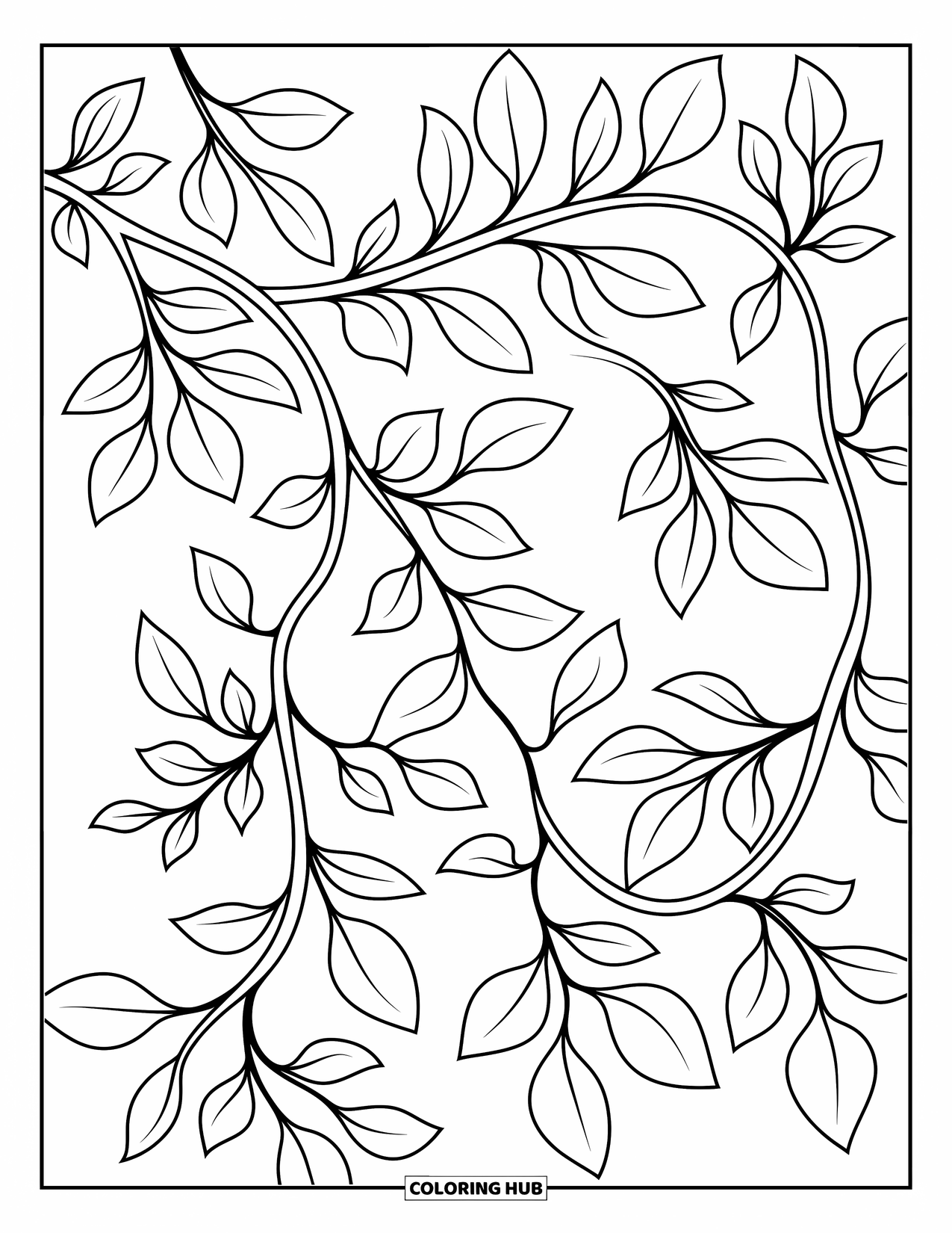 Desen de colorat cu frunze pentru copii: O viță de vie ondulată, cu frunze luxuriante, se înfășoară natural, aducând mișcare și farmec scenei