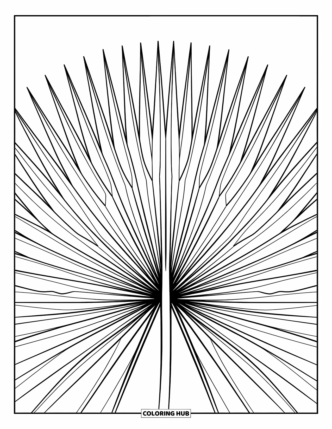 Desen de colorat cu frunze pentru copii: O frunză de palmier sago, asemănătoare unui evantai, se extinde spre exterior, liniile sale formând o formă structurată natural