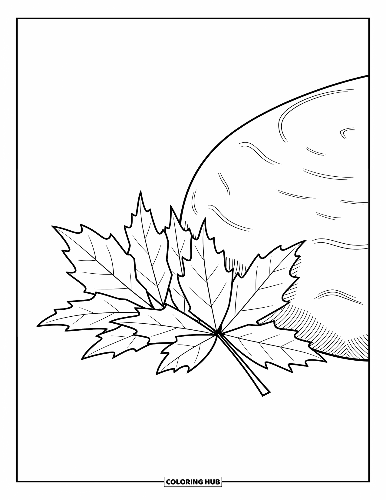 Desen de colorat cu frunze pentru copii: Câteva frunze căzute de plop tremurător se sprijină de o piatră rotunjită, contrastând marginile lor moi cu netezimea acesteia