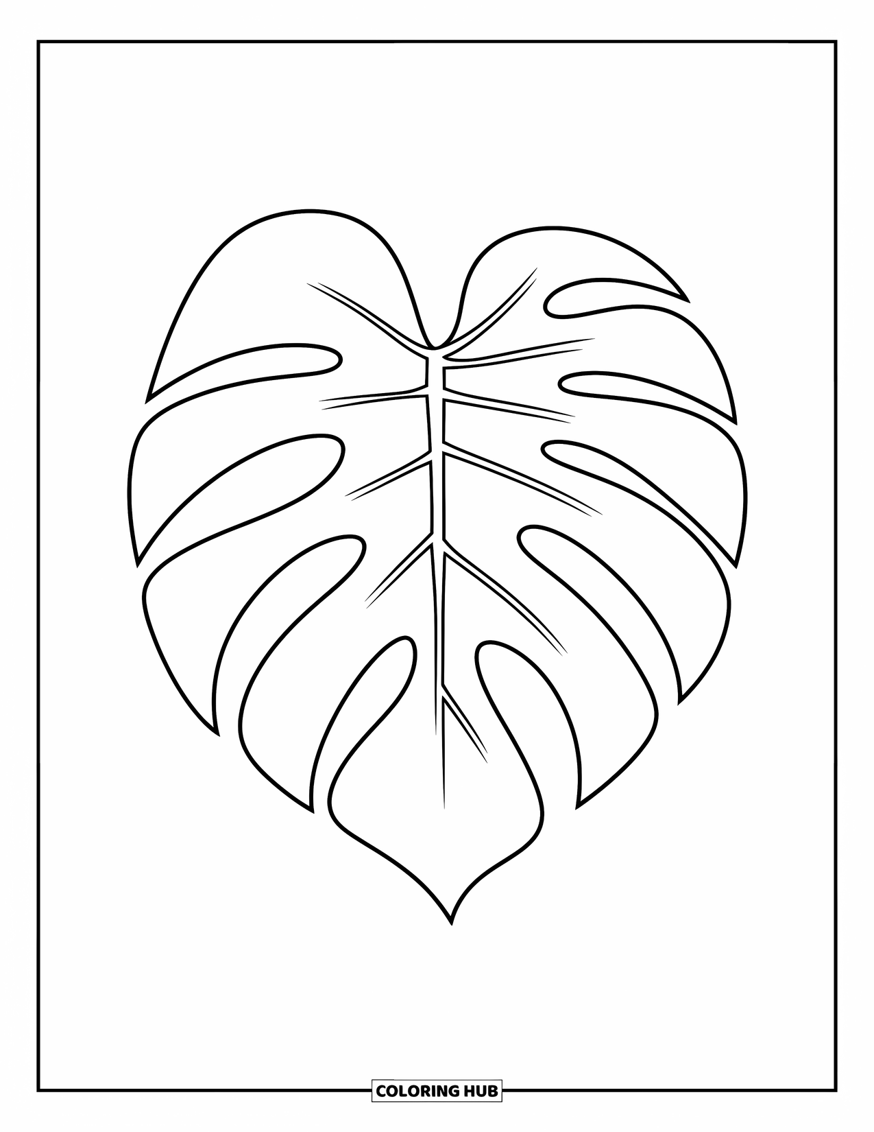 Desen de colorat cu frunze pentru copii: O frunză de monstera curbată grațios prezintă linii netede și secțiuni mari, deschise
