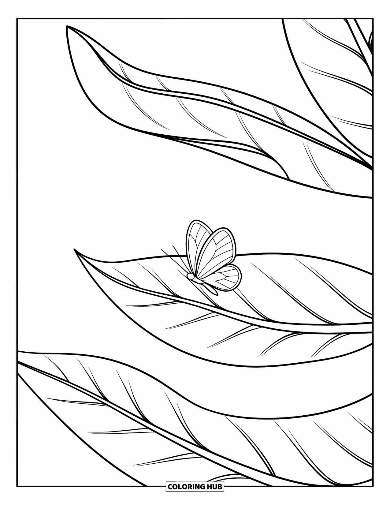 Desen de colorat cu frunze pentru copii: O frunză mare se curbează ușor, în timp ce un fluture mic se odihnește ușor pe suprafața sa