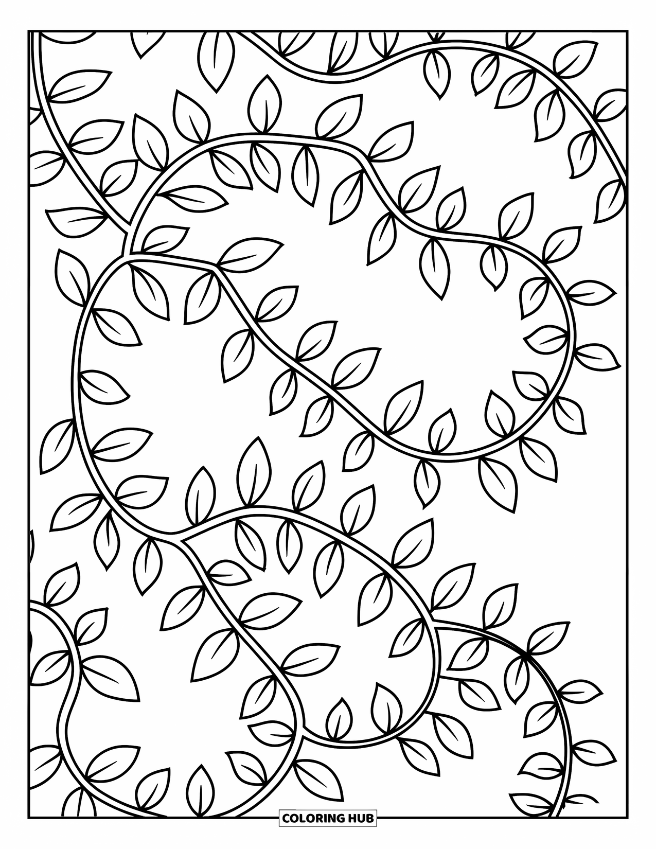 Desen de colorat cu frunze pentru copii: O viță de vie cu frunze se întinde grațios, cârceii săi ondulându-se și răsucindu-se cu farmec jucăuș