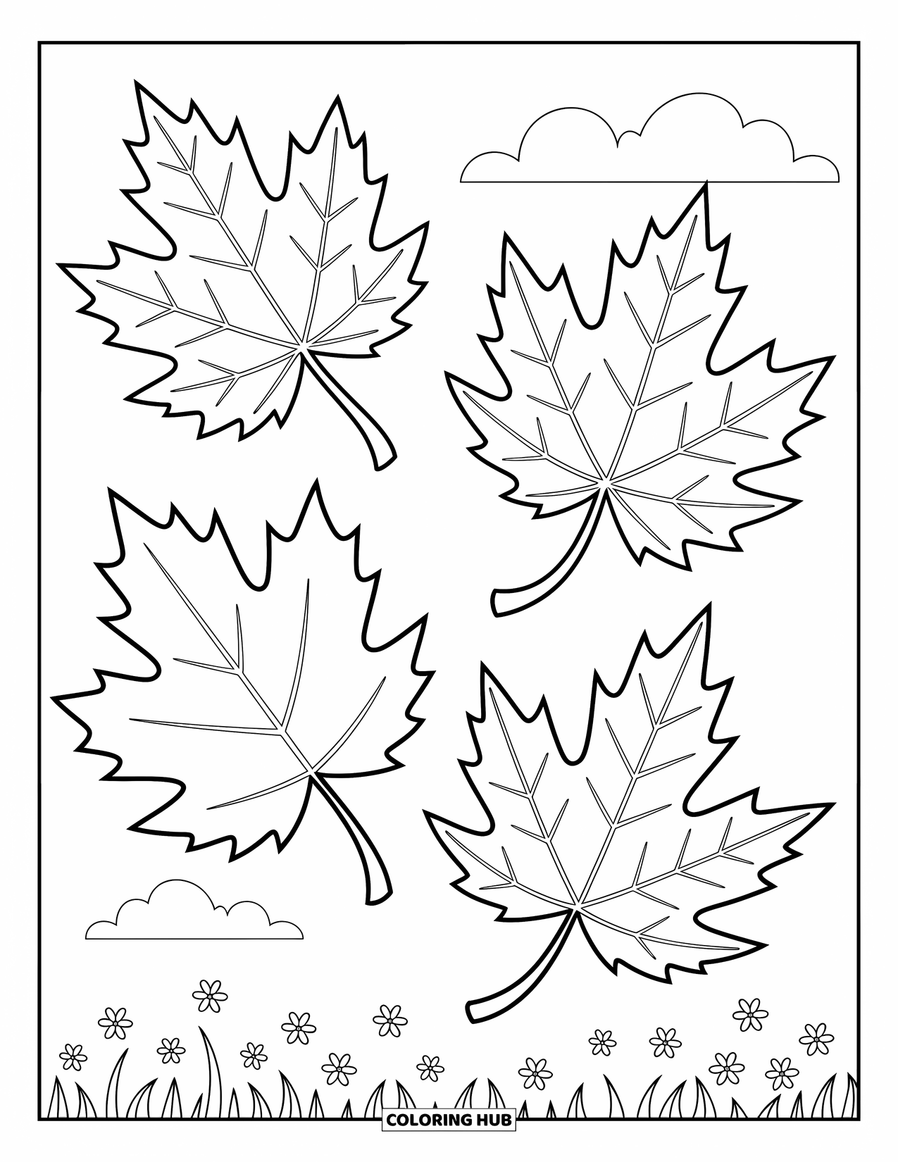 Desen de colorat cu frunze pentru copii: O frunză de arțar, stejar și mesteacăn plutesc separat, prezentându-și formele unice