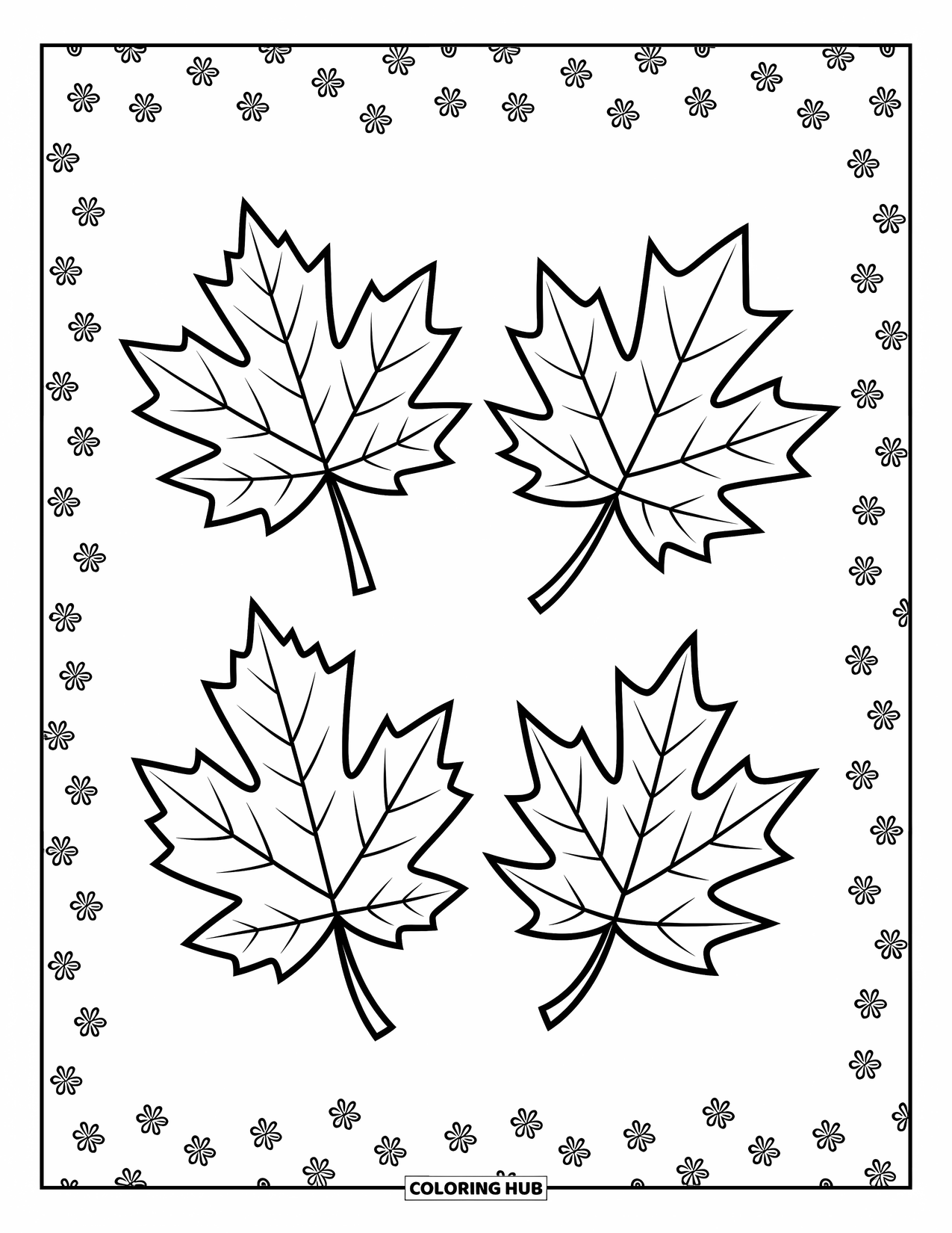 Desen de colorat cu frunze pentru copii: O frunză de arțar, stejar și mesteacăn stau separat, fiecare cu propriul farmec natural