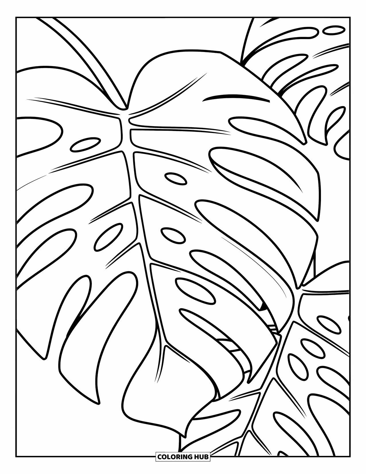 Desen de colorat cu frunze pentru copii: O frunză simplă de monstera, cu curbe elegante și spații deschise, iese în evidență frumos