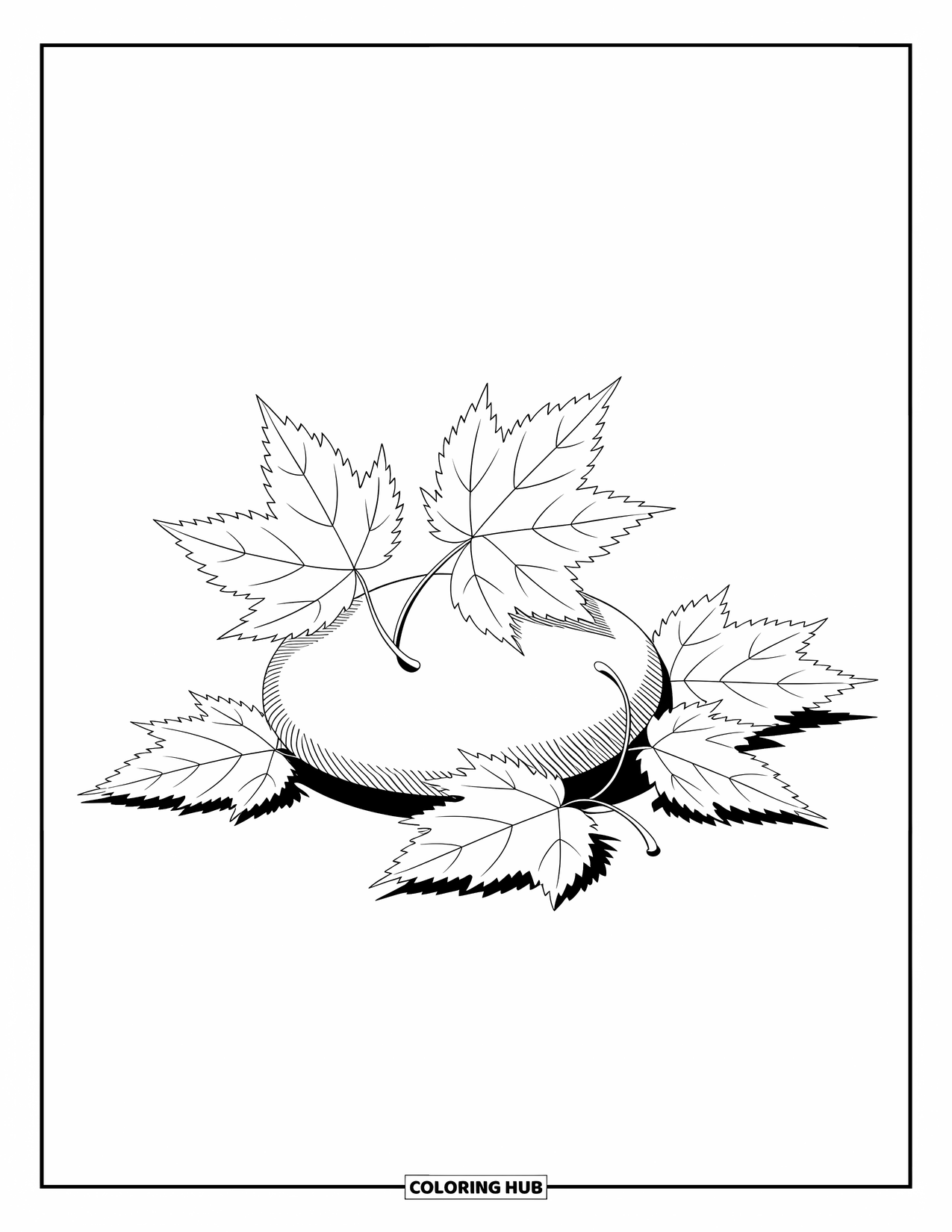 Desen de colorat cu frunze pentru copii: O grămadă mică de frunze de plop tremurător se sprijină ușor de o piatră netedă, creând o scenă senină, naturală