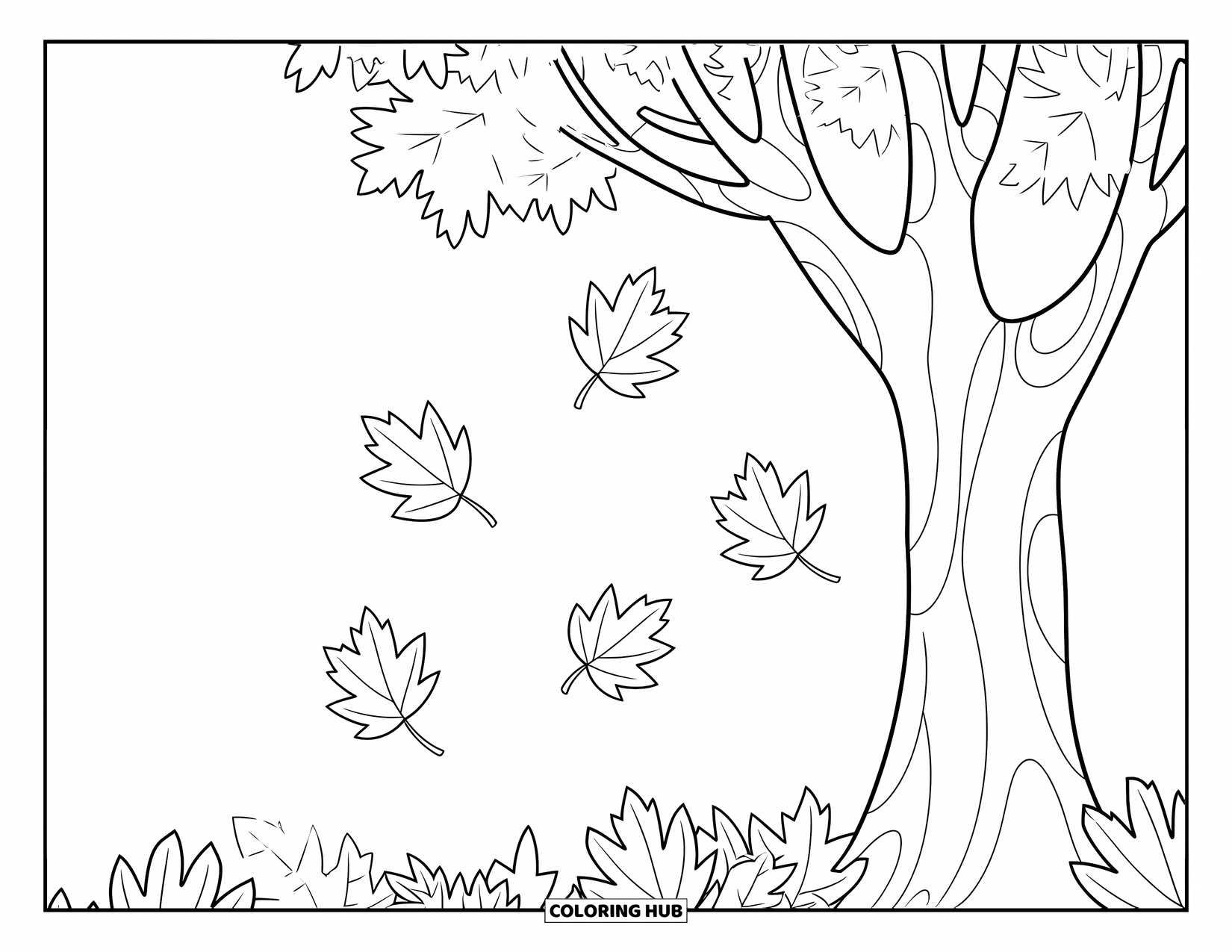 Desen de colorat cu frunze pentru copii: Un copac cu ramuri împrăștiate eliberează frunze care plutesc ușor în jos