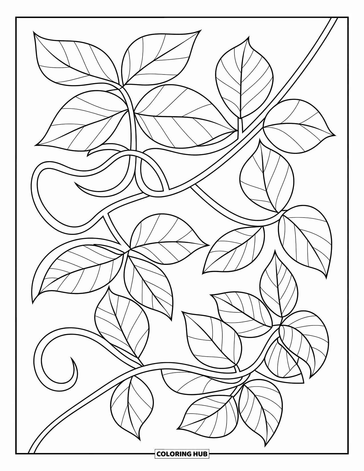 Desen de colorat cu frunze pentru copii: O viță de vie răsucită, cu frunze delicate, se extinde elegant, adăugând o notă de farmec natural