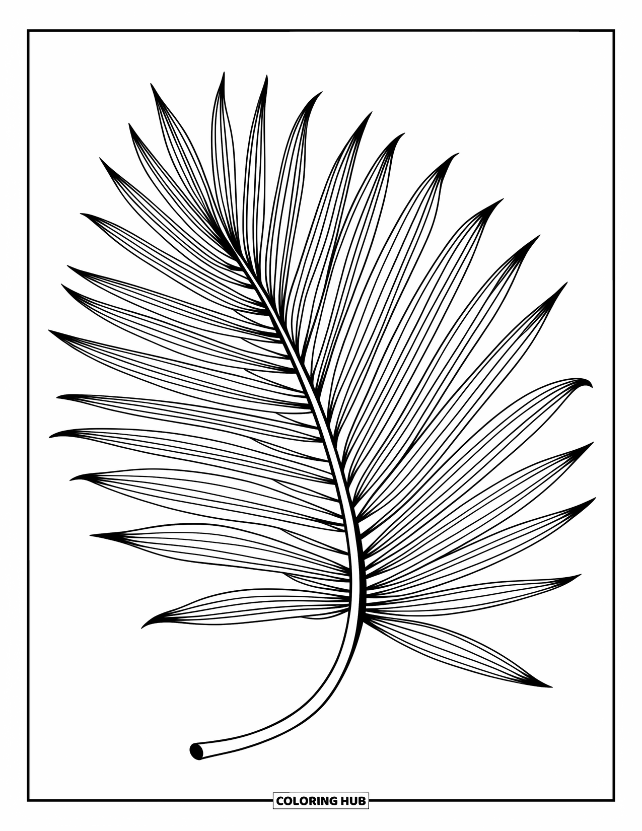 Desen de colorat cu frunze pentru copii: O frunză elegantă de cycad se arcuiește ușor, afișând detalii delicate, asemănătoare penelor