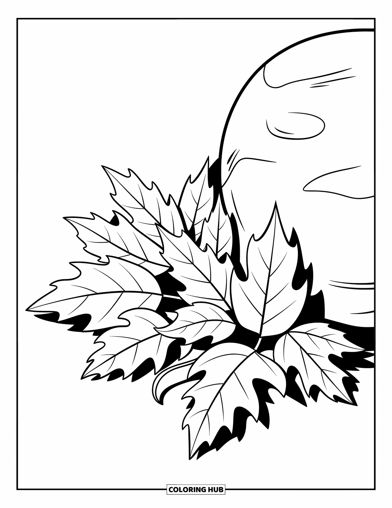 Desen de colorat cu frunze pentru copii: Frunze căzute de plop tremurător se adună lângă o piatră netedă, nervurile lor delicate adăugând un farmec organic