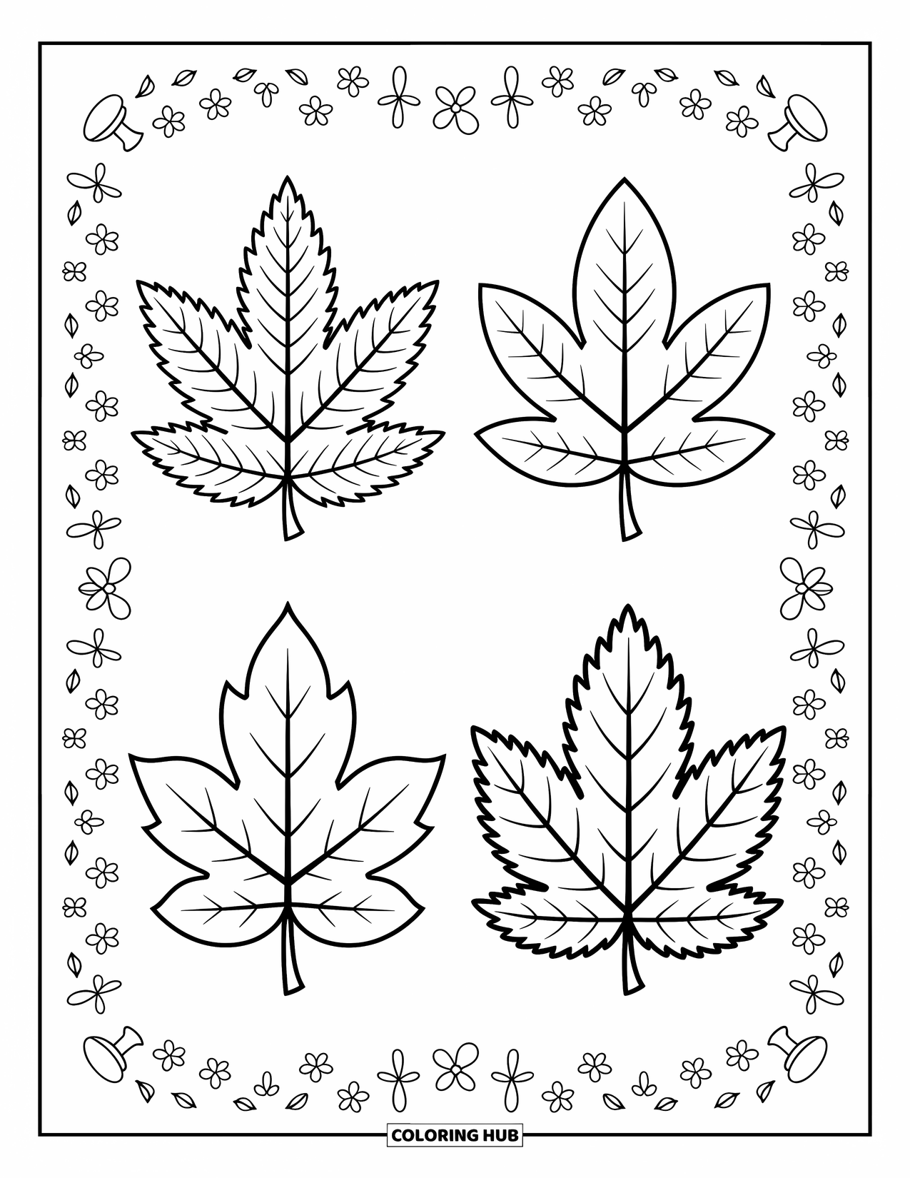 Desen de colorat cu frunze pentru copii: Patru frunze de la diferiți copaci sunt aranjate simetric, celebrând diversitatea naturii