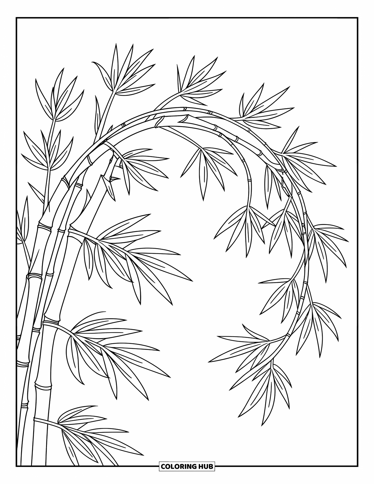 Desen de colorat cu frunze pentru copii: Frunze subțiri de bambus se arcuiesc elegant, adăugând o notă de mișcare și grație