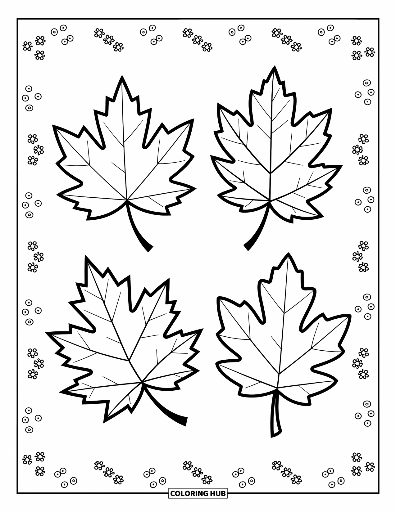 Desen de colorat cu frunze pentru copii: Trei frunze distincte - un arțar, un stejar și un mesteacăn - sunt aranjate într-o compoziție echilibrată