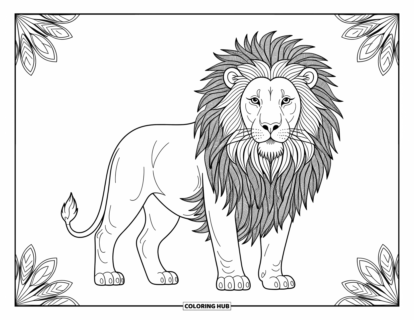Kolorowanka z lwem dla dorosłych: Lew z wyszukaną, ozdobną grzywą jest otoczony delikatnymi, artystycznymi detalami