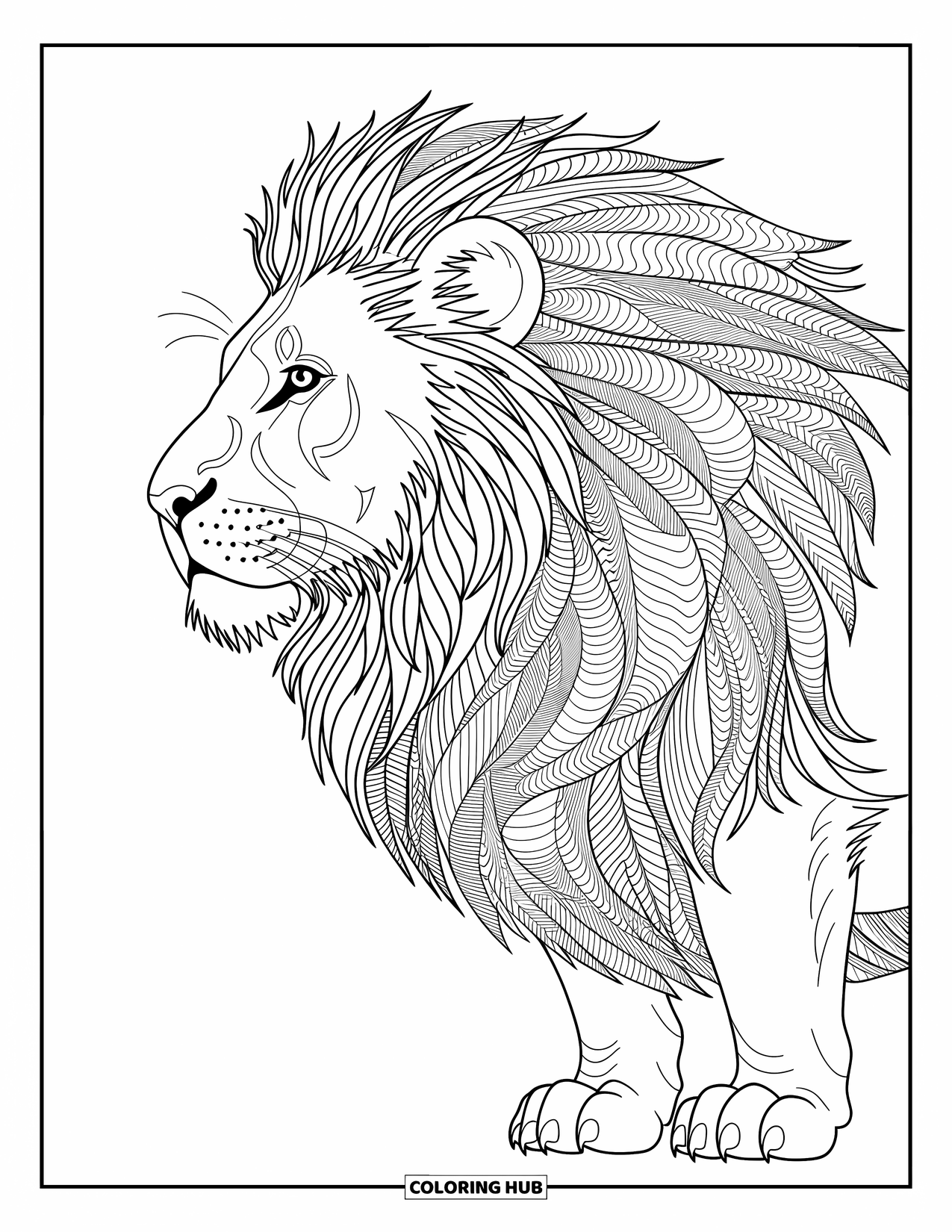 Kolorowanka z lwem dla dorosłych: Lew z profilu z grzywą o wzorze filigranowym łączy elegancję ze skomplikowanymi, płynnymi wzorami