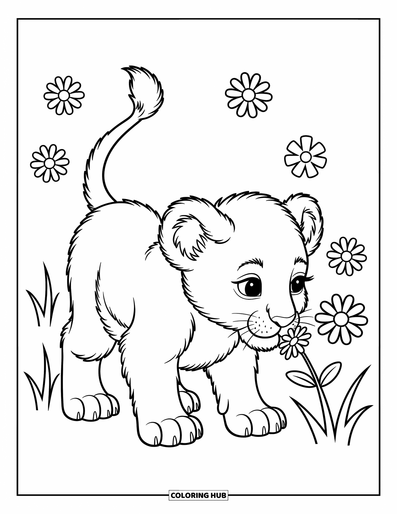 Kolorowanka z lwem dla dzieci: Ciekawy lwiątko wącha delikatny kwiat, a jego ogon uniesiony jest wysoko w figlarnym zdziwieniu