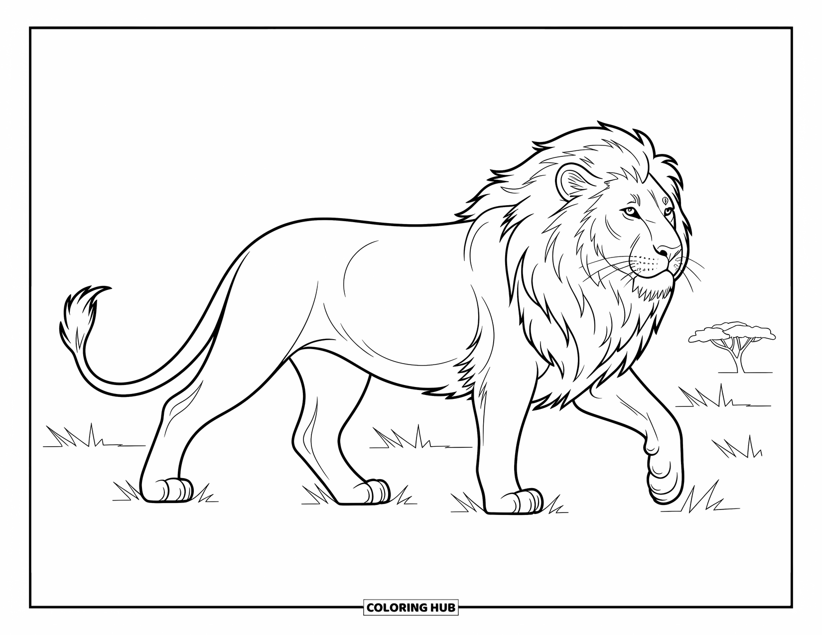 Kolorowanka z lwem dla dzieci: Lew idzie dumnie przez otwarte równiny, a jego ogon porusza się z każdym krokiem