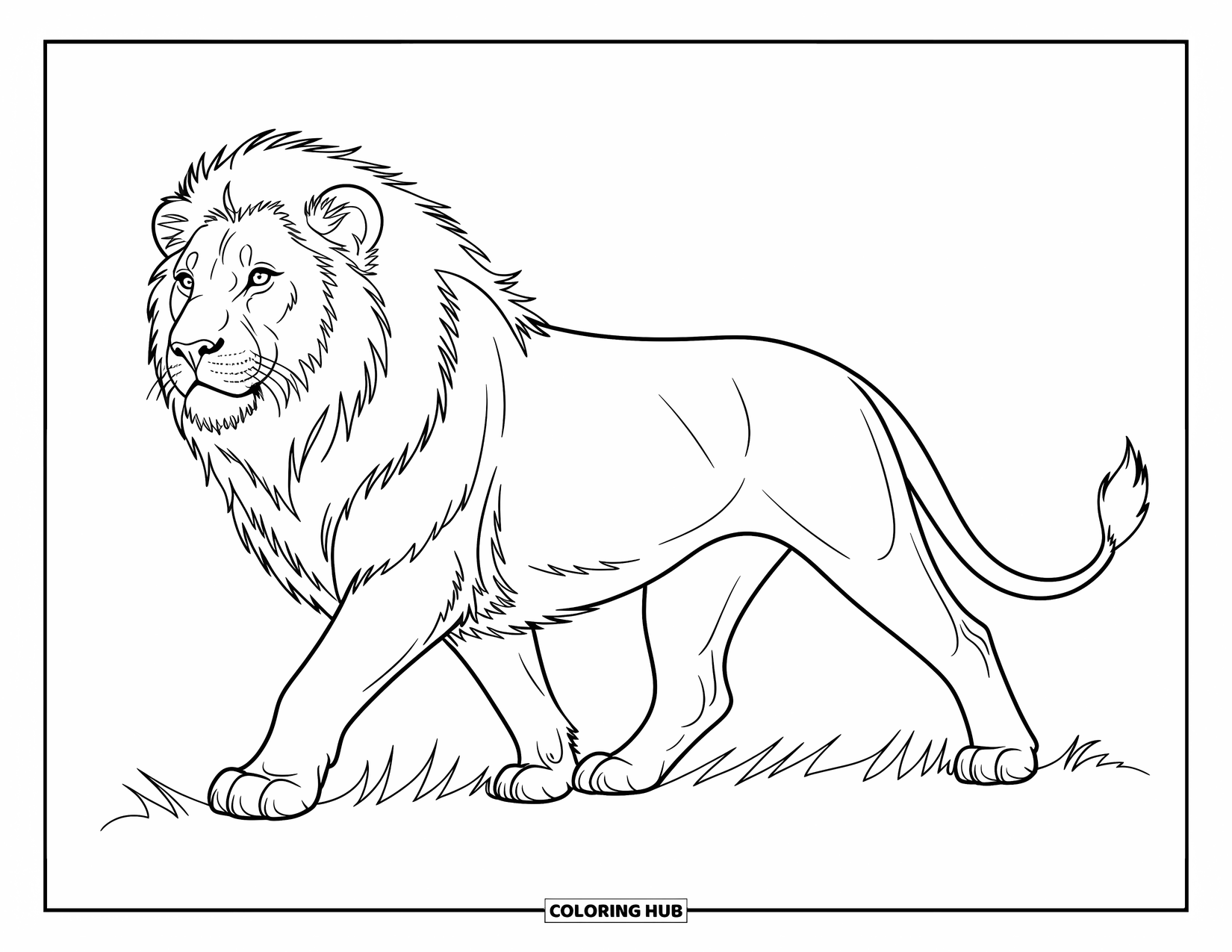 Kolorowanka z lwem dla dzieci: Majestatyczny lew kroczy przez sawannę, a jego potężna grzywa powiewa za nim