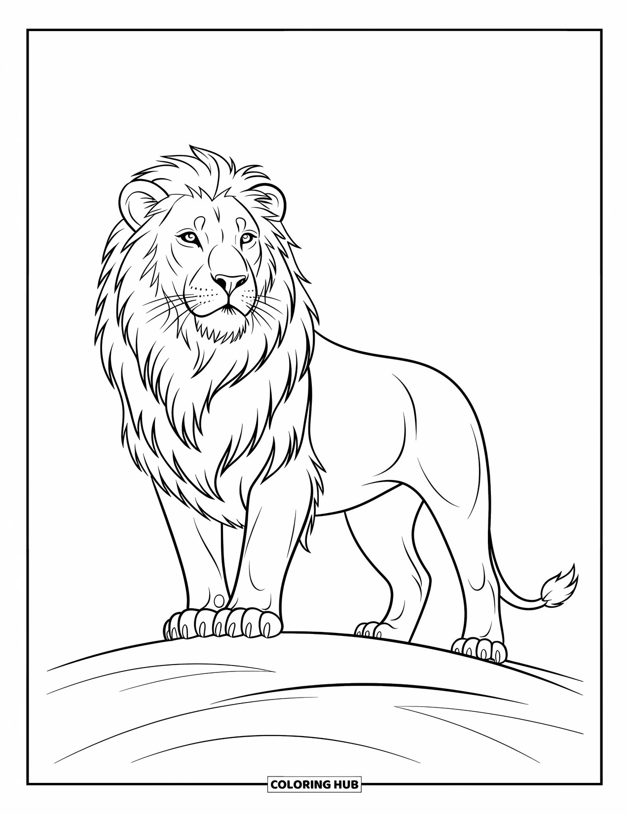 Kolorowanka z lwem dla dzieci: Dostojny lew spogląda na horyzont, stojąc dumnie ze spokojnym, pewnym spojrzeniem