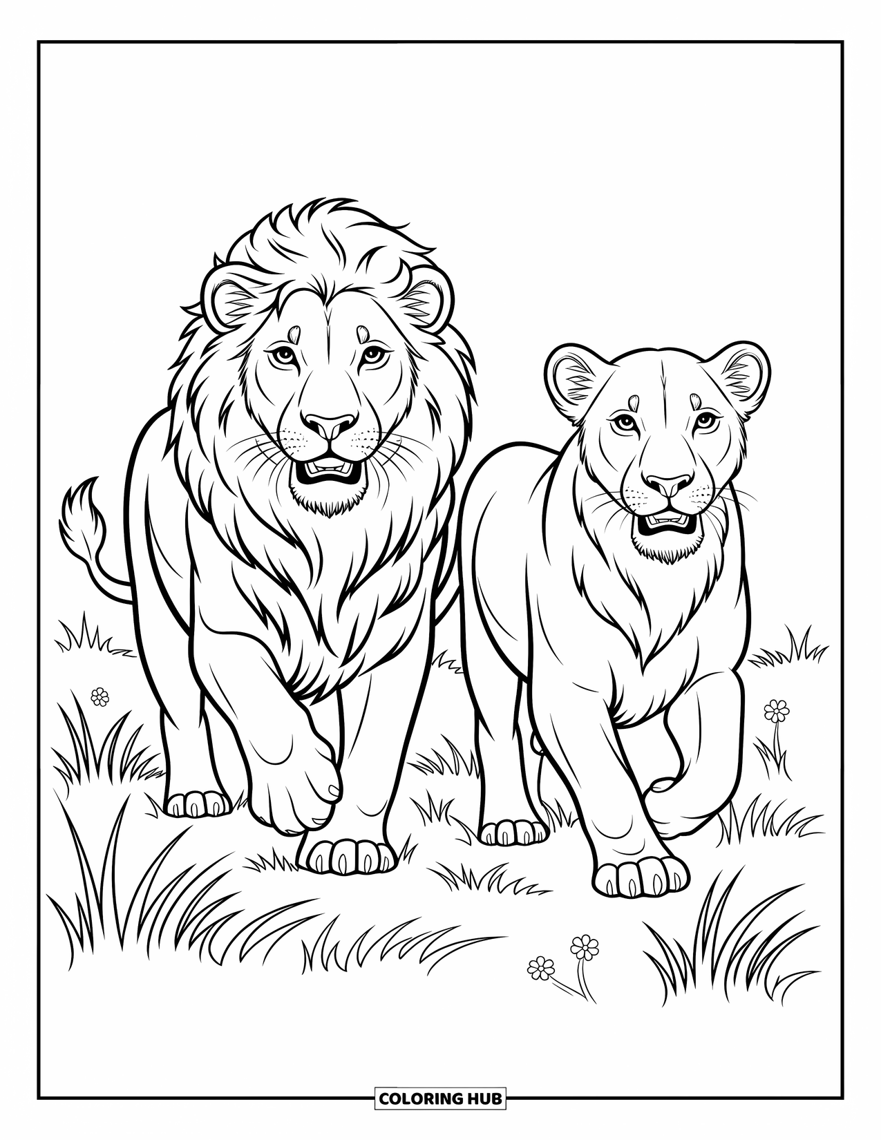 Kolorowanka z lwem dla dzieci: Samiec i samica lwa biegną z gracją przez trawę, pełni energii i życia