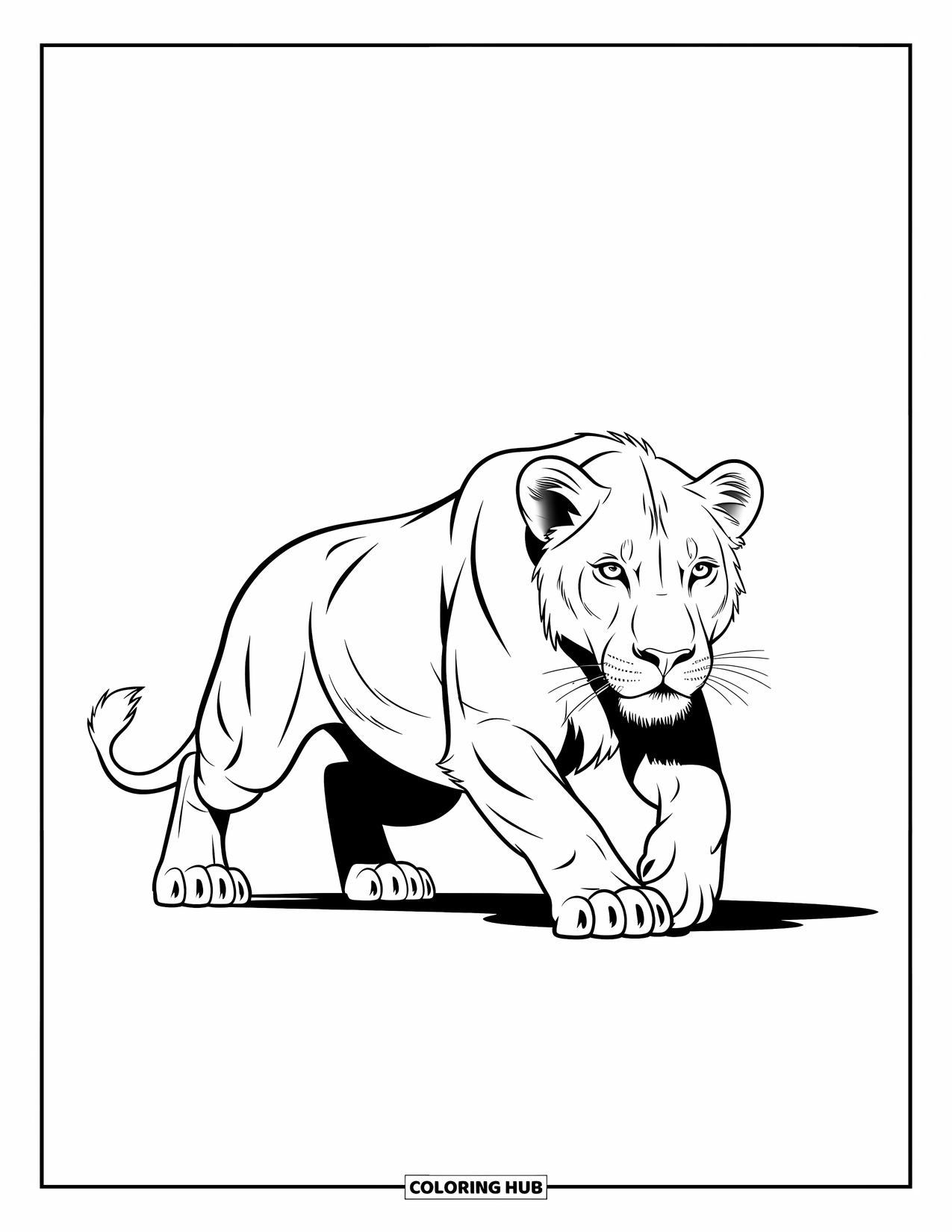 Kolorowanka z lwem dla dzieci: Zgrabny lew, gotowy do skoku, emanuje energią i siłą w uderzającej kompozycji