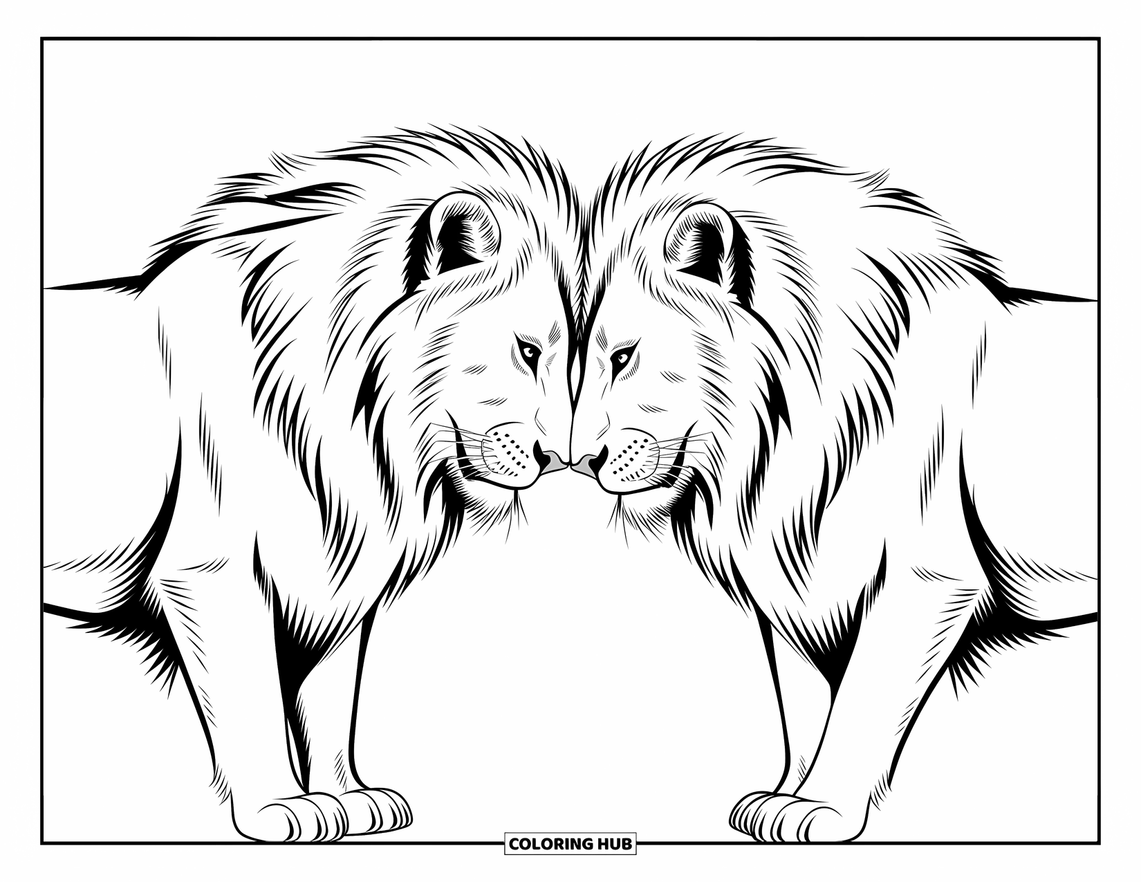 Kolorowanka z lwem dla dzieci: Dwa lwy delikatnie dotykają się nosami, a ich powiewające grzywy delikatnie stykają się w czułym momencie