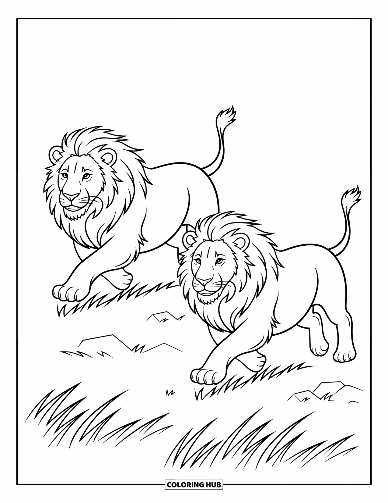 Kolorowanka z lwem dla dzieci: Dwa lwy biegną przez trawę, a ich powiewające grzywy dodają poczucia ruchu