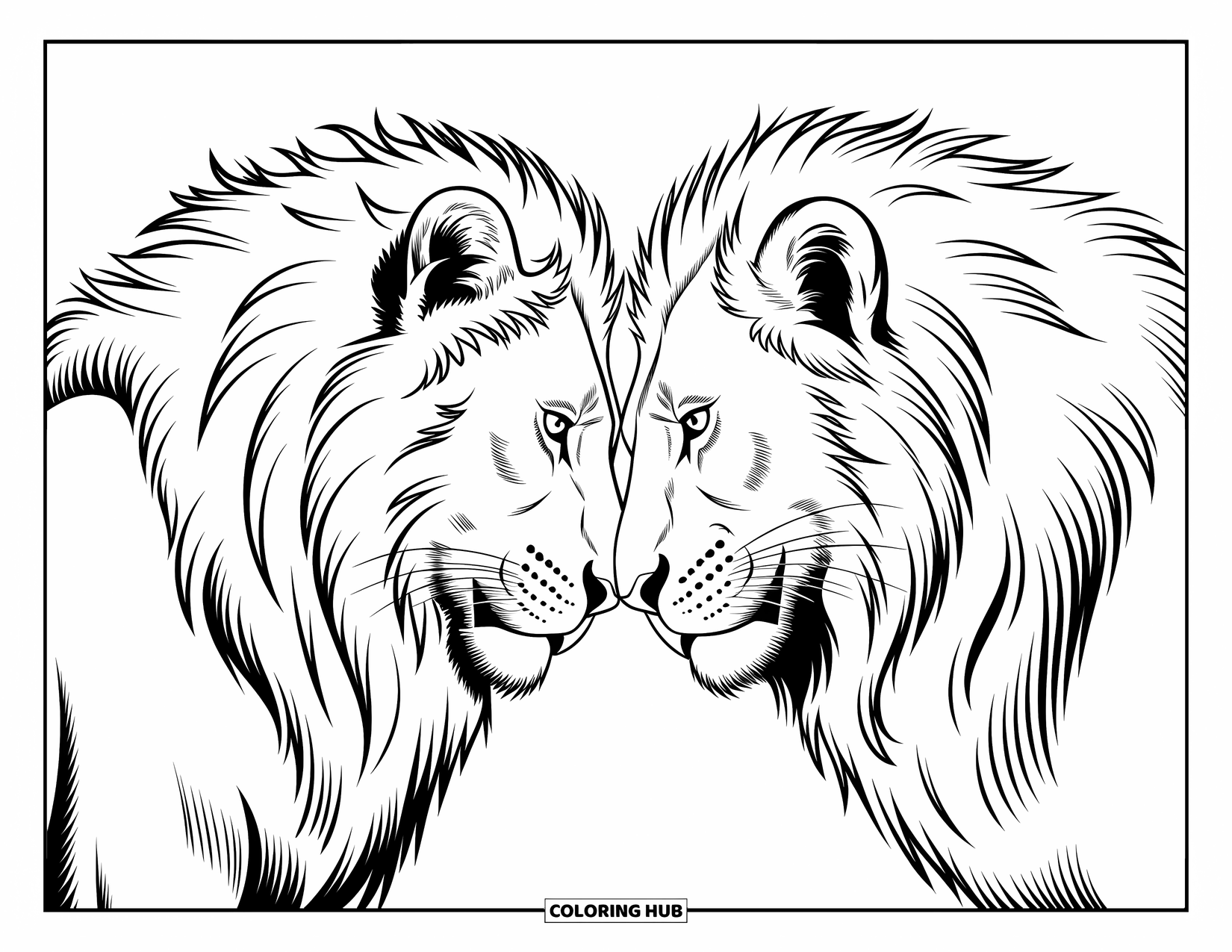 Kolorowanka z lwem dla dzieci: Dwa majestatyczne lwy dzielą się cichym połączeniem, a ich grzywy mieszają się, gdy dotykają się nosami