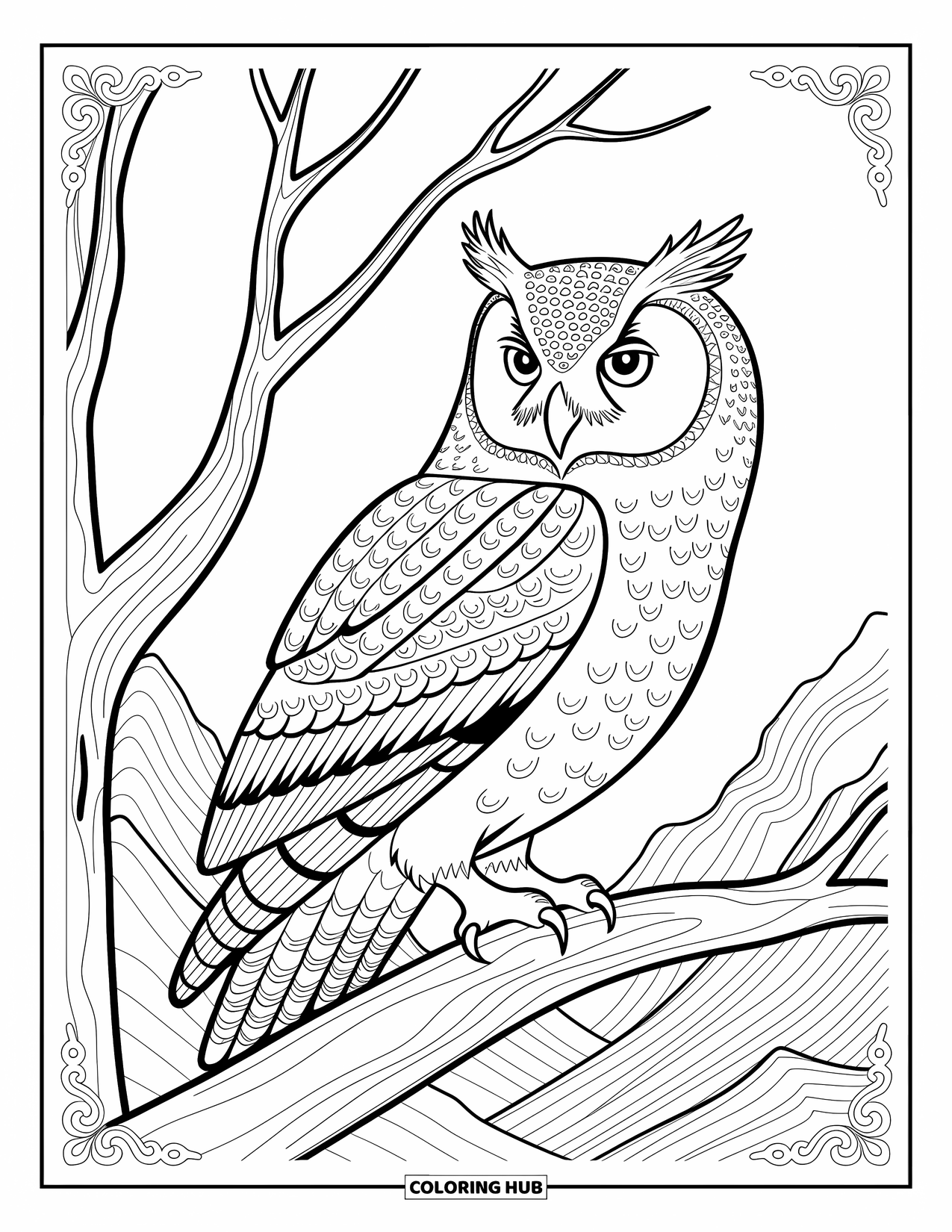Berg kleurplaat voor volwassenen: Een gedetailleerde uil die uitkijkt over een sereen bergdal