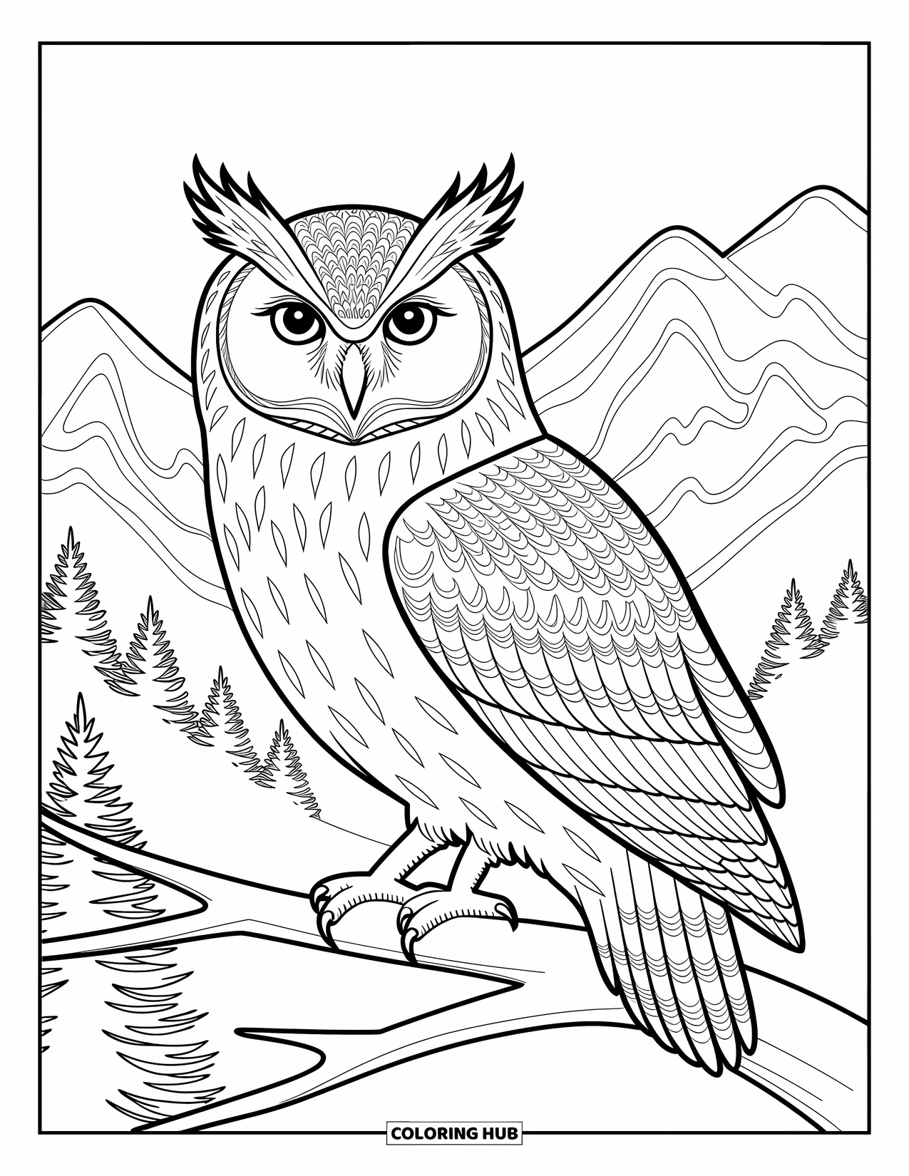 Berg Kleurplaat voor Volwassenen: Een sierlijke uil op een tak met ingewikkelde veren en uitzicht op de bergen