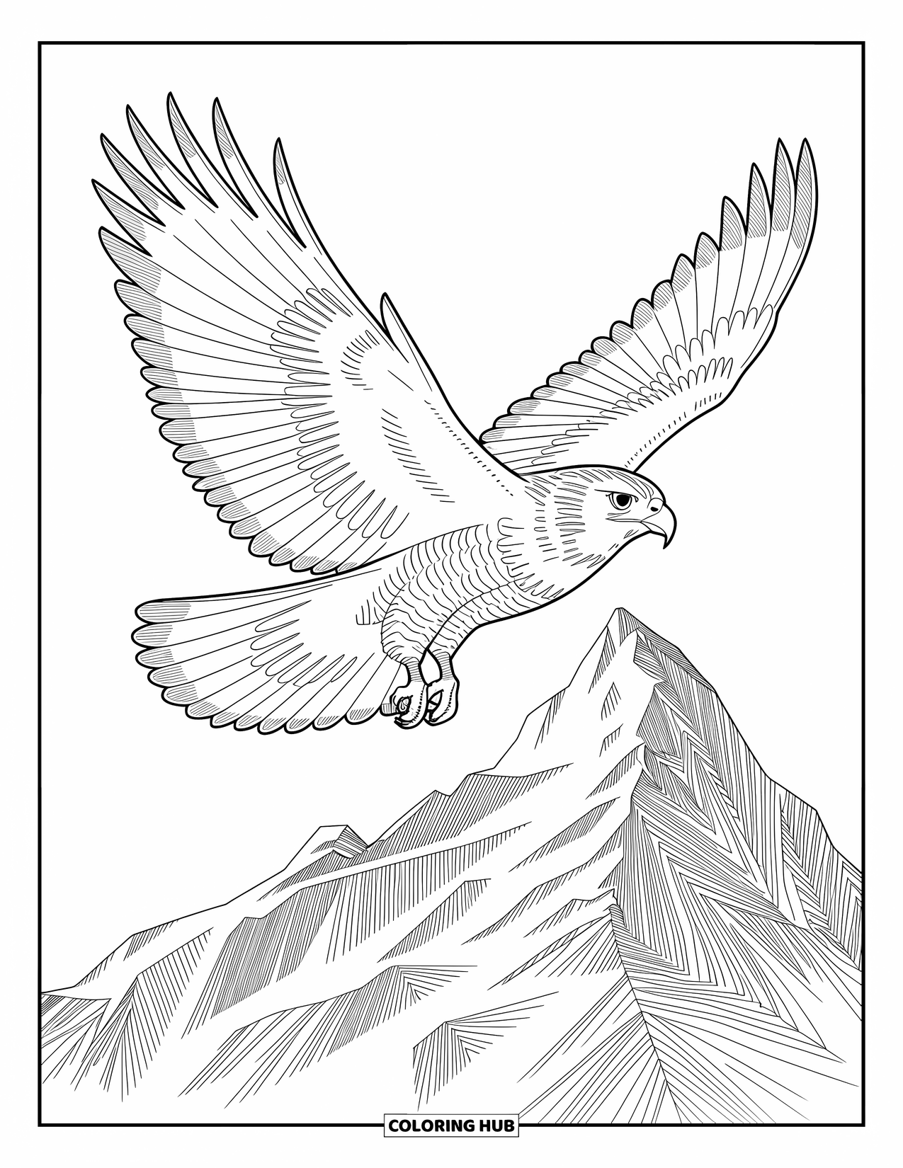 Berg Kleurplaat voor Volwassenen: Een havik die boven bergen zweeft met ingewikkelde veren en gedurfde lijnen