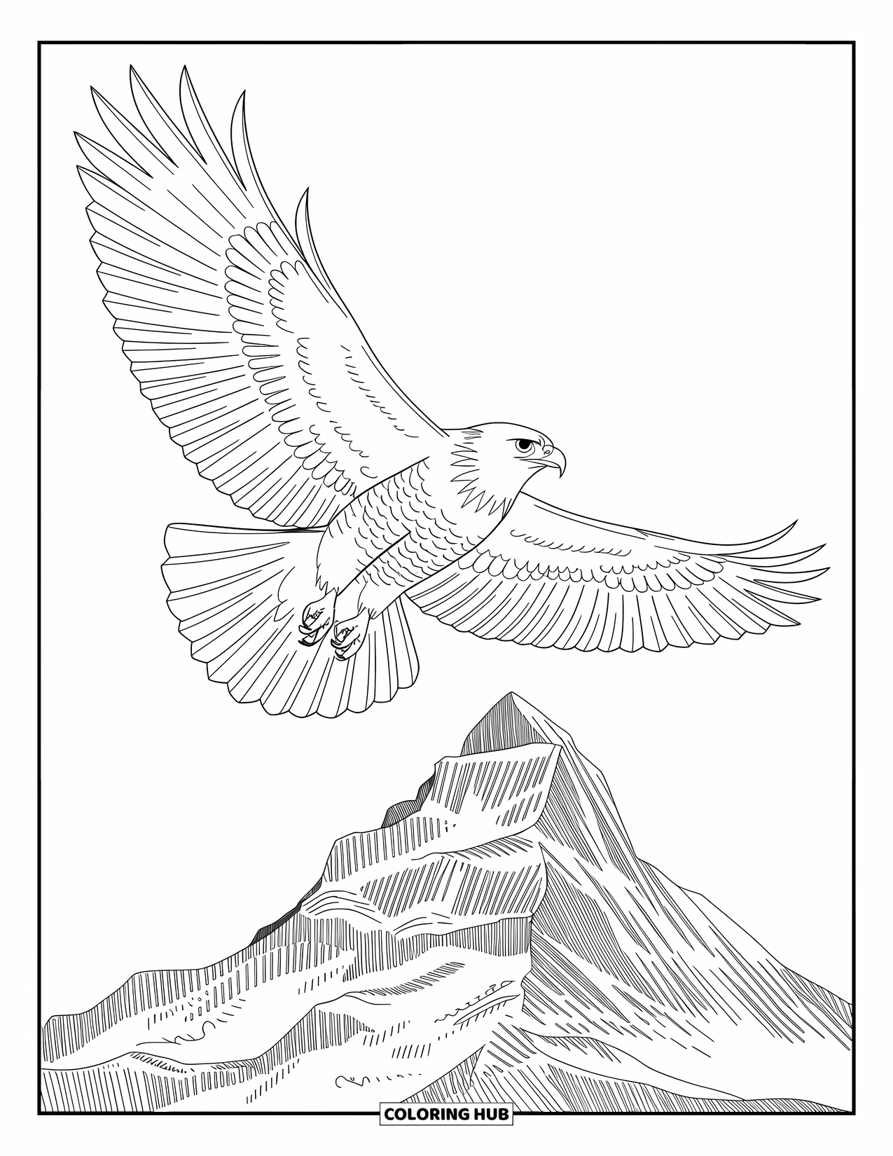 Berg Kleurplaat voor Volwassenen: Een majestueuze havik boven bergen met gedetailleerde veren en gedurfde contouren