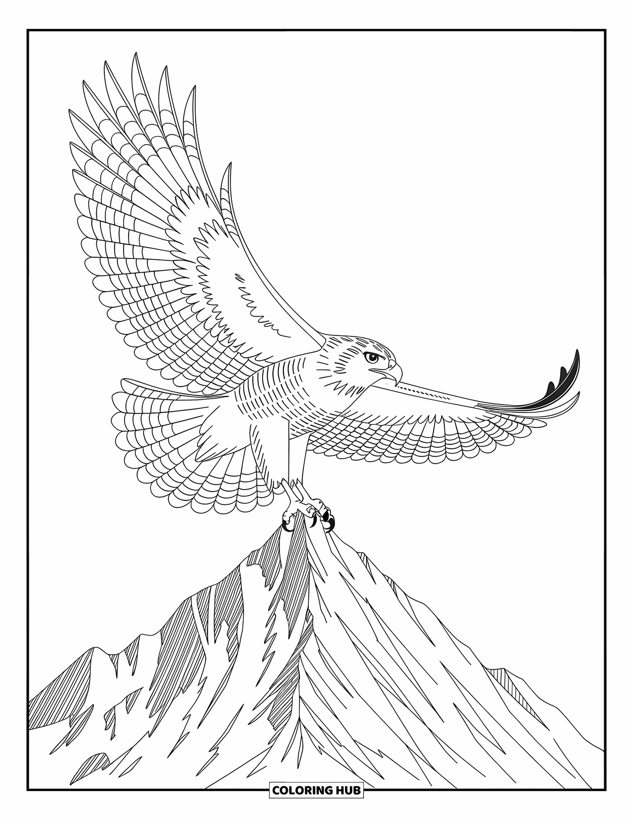 Berg Kleurplaat voor Volwassenen: Een krachtige havik die boven een bergtop zweeft met ingewikkelde veren