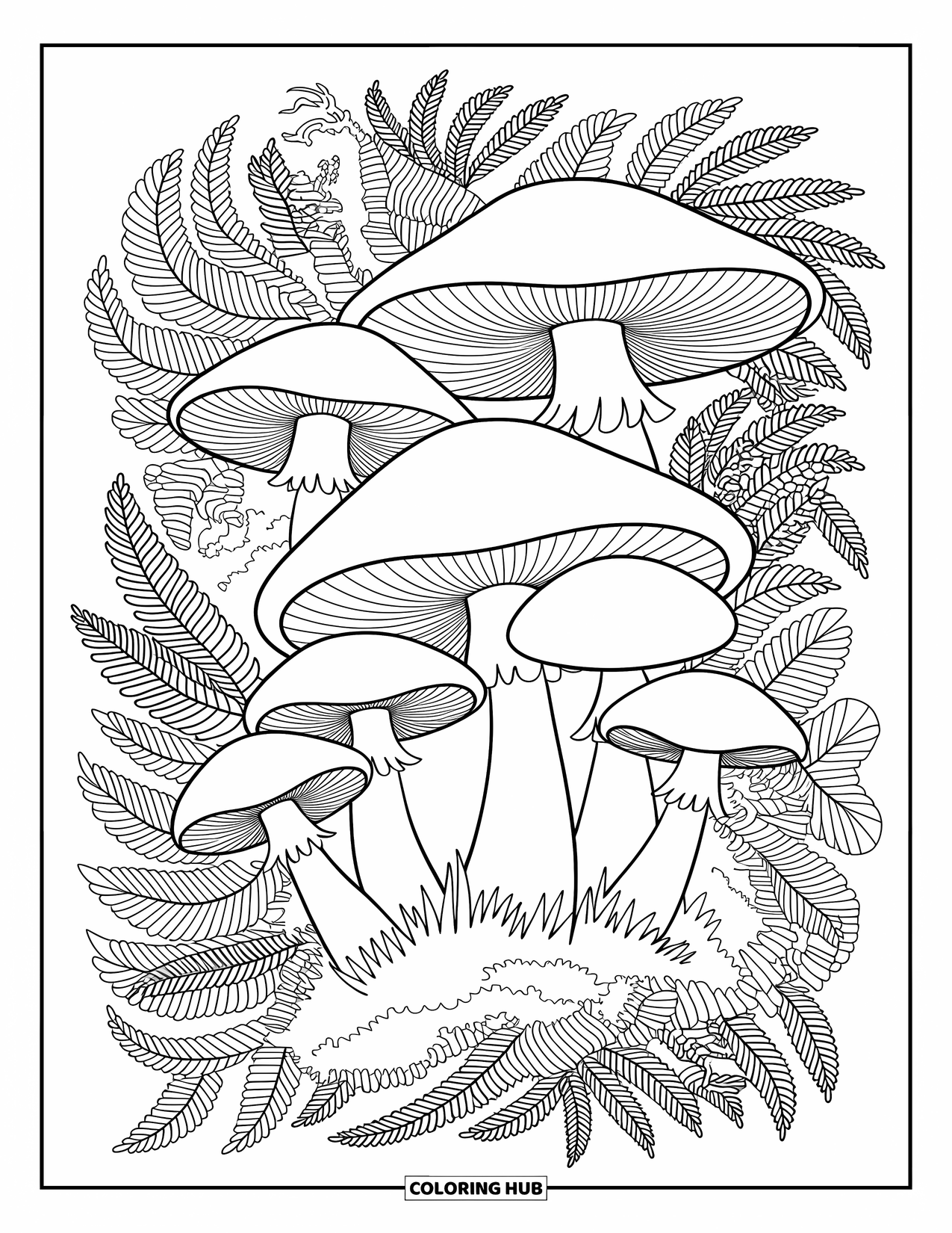 Desen de colorat cu ciuperci pentru adulți: Ciuperci printre ferigi, mușchi și rădăcini șerpuitoare