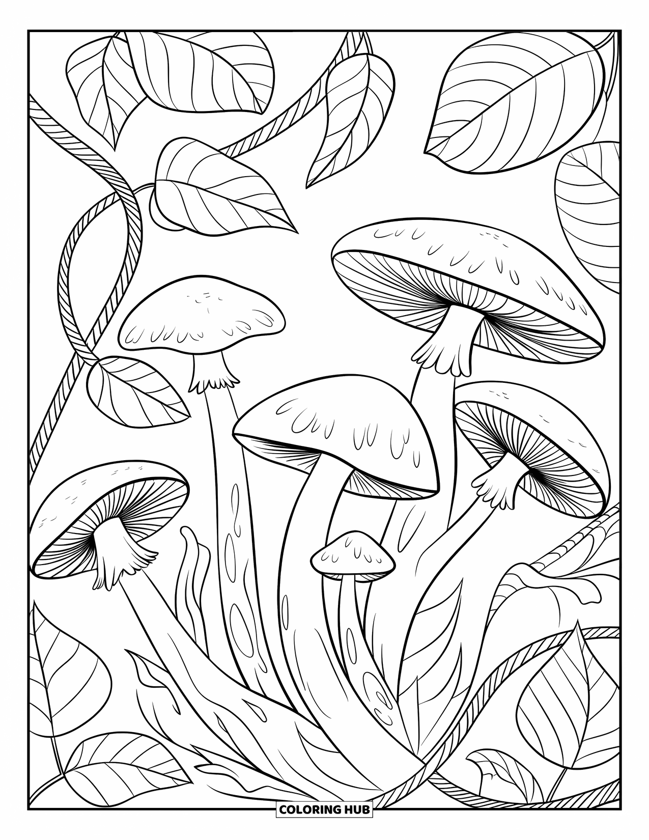 Desen de colorat cu ciuperci pentru copii: Ciuperci cu liane groase și frunze mari