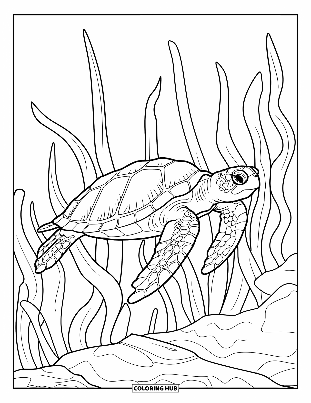 Kolorowanka ze zwierzętami oceanicznymi dla dorosłych: Pełen gracji żółw płynie przez wodorosty i skaliste ścieżki oceanu