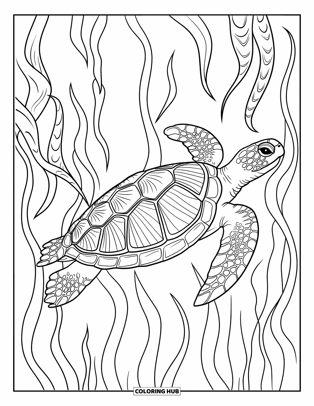 Kolorowanka ze zwierzętami oceanicznymi dla dorosłych: Wzorzysty żółw pływa z płynącymi wodorostami w głębinach morskich