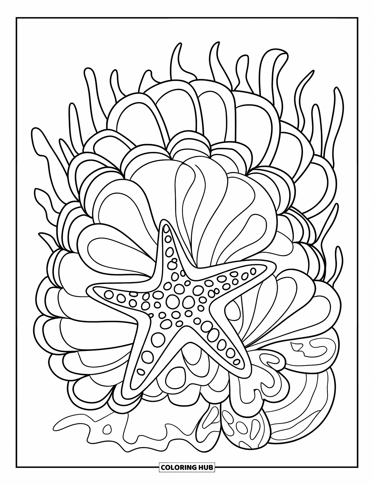 Kolorowanka ze zwierzętami oceanicznymi dla dorosłych: Rozgwiazda leży wśród ładnych muszelek i płynnych tekstur oceanu