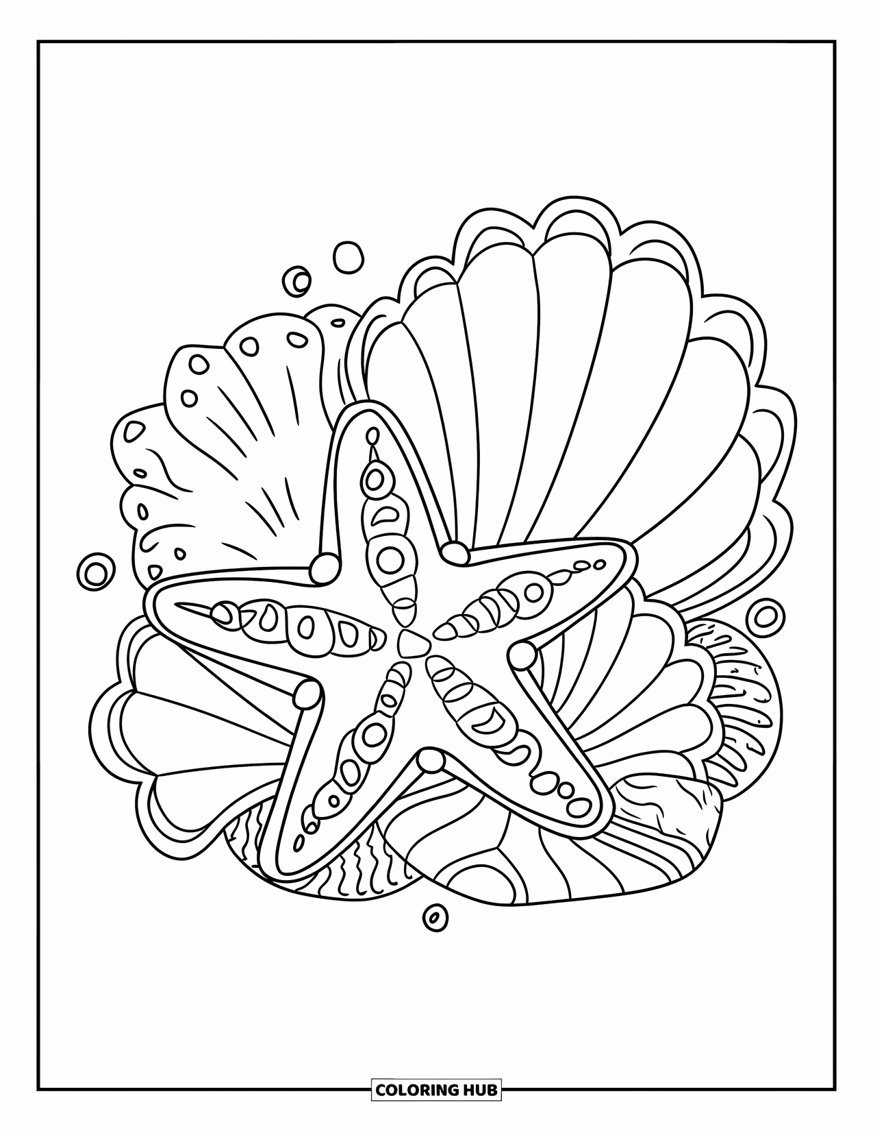 Kolorowanka ze zwierzętami oceanicznymi dla dorosłych: Rozgwiazda wyleguje się wśród ozdobnych muszelek i roślin morskich