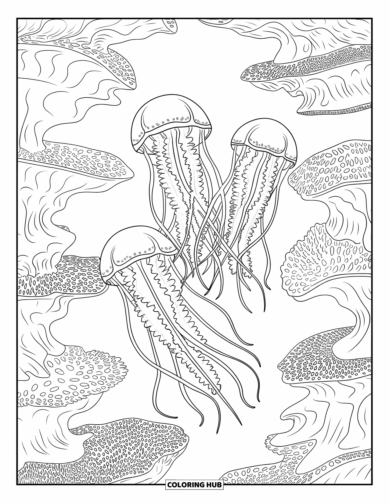 Kolorowanka ze zwierzętami oceanicznymi dla dorosłych: Trzy meduzy z ciągnącymi się mackami dryfują nad falistą rafą koralową