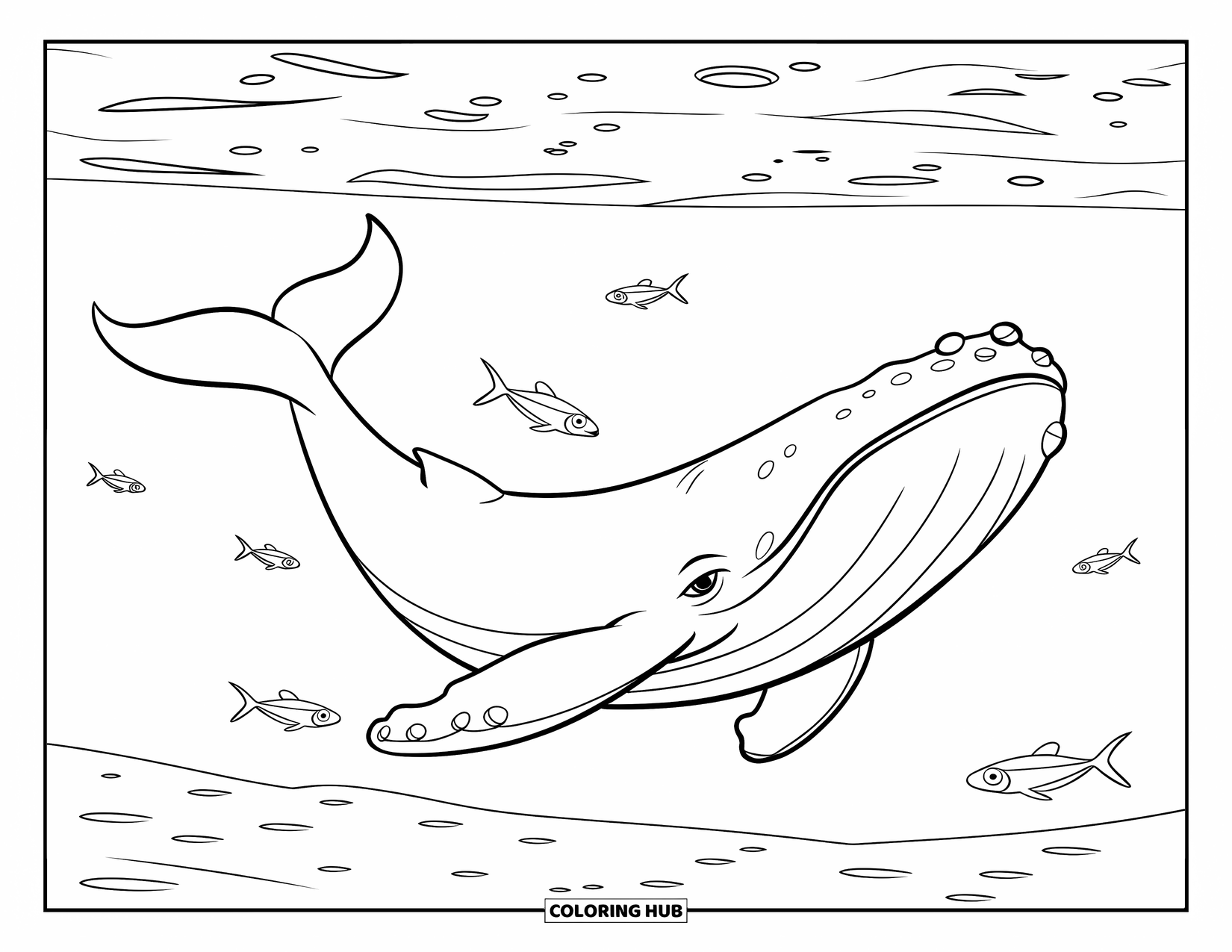 Kolorowanka ze zwierzętami oceanicznymi dla dzieci: Płetwal błękitny pływa nad piaszczystym dnem morskim z drobnymi rybami w pobliżu