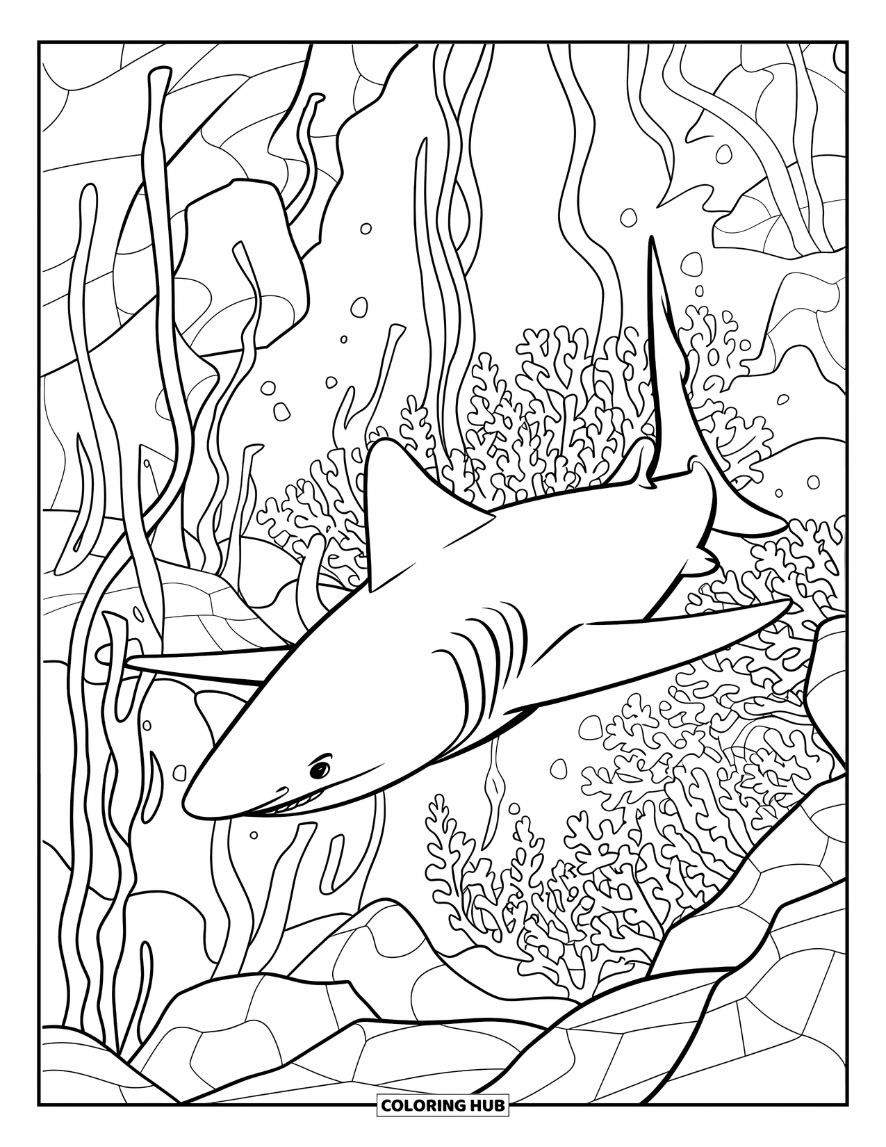 Kolorowanka ze zwierzętami oceanicznymi dla dzieci: Rekin młot pływa przez wodorosty i skalisty podwodny teren