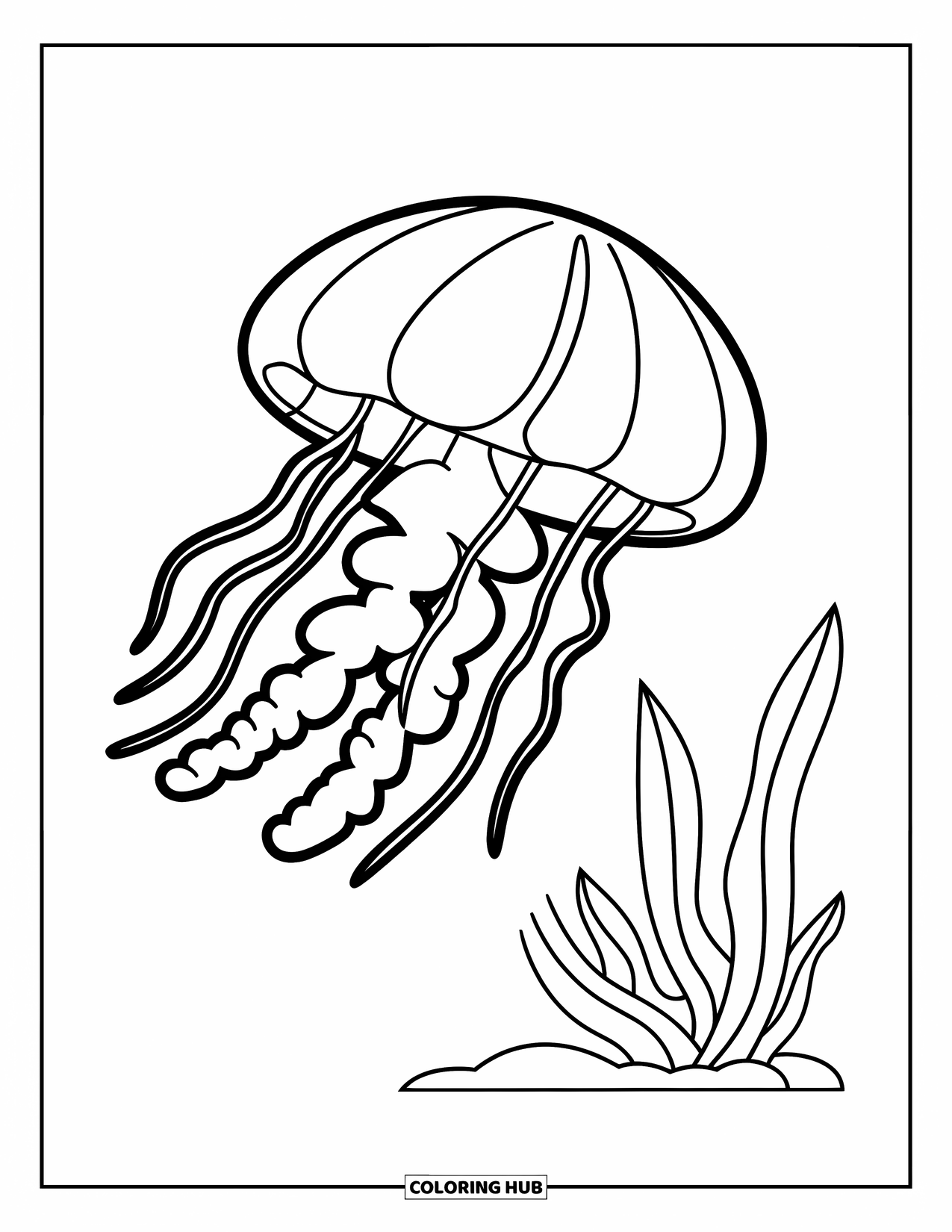 Kolorowanka ze zwierzętami oceanicznymi dla dzieci: Meduza z długimi mackami unosi się w pobliżu wodorostów w prostej scenerii oceanicznej